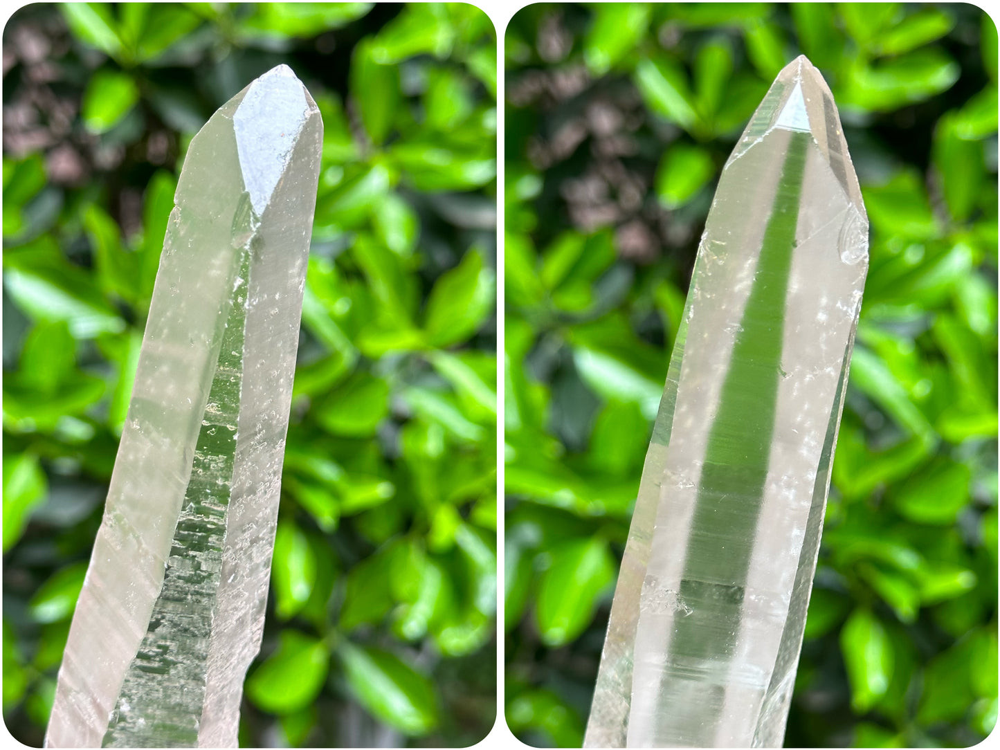 9.2“Long Muzo Lemurian Seeds Quartz Blue Angel's Feather Crystal/Starbrary Laser Record-keeper Crystal/Akashic Striation/Meditation-305 g