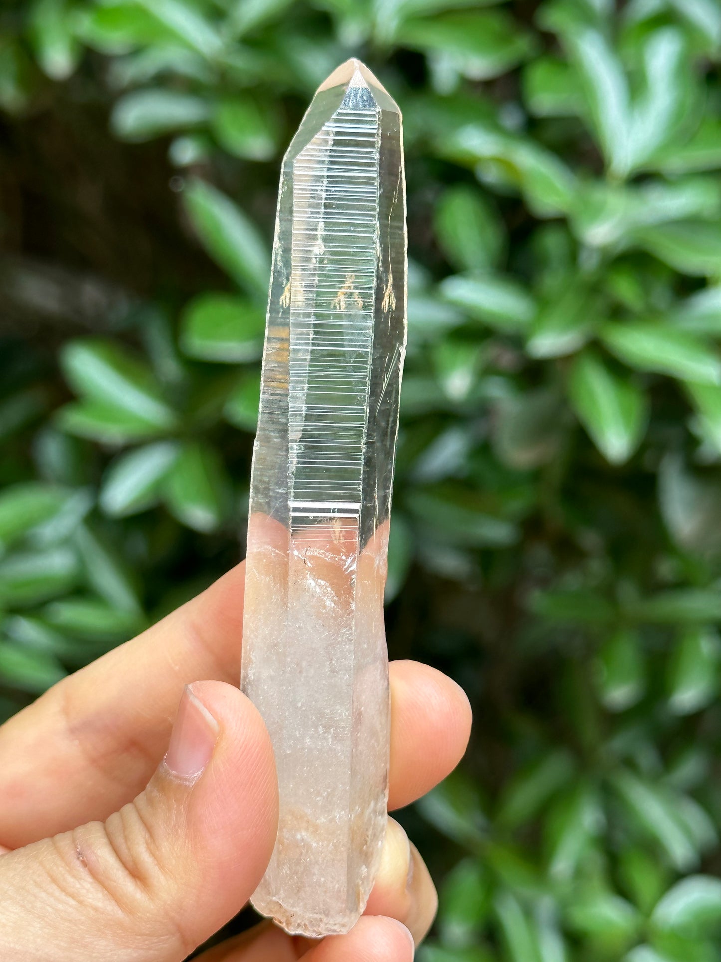 Perfect Clear Himalayan Lemurian Seed Quartz Crystal/Receiver Generator Quartz Crystal-102*19*13 mm  46 g