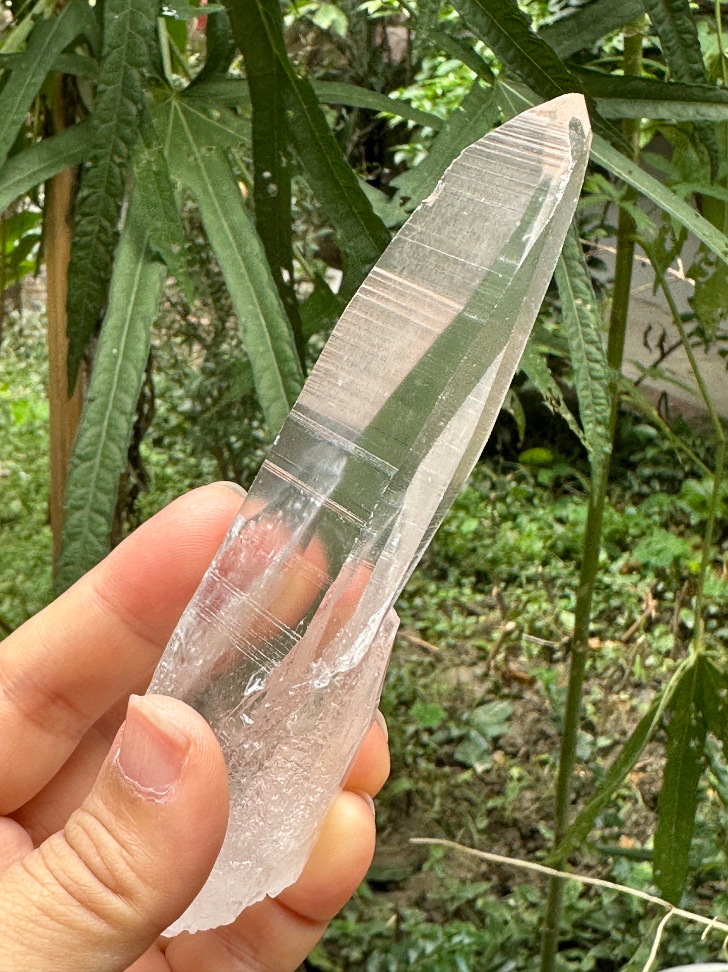 Muzo Habit Quartz Crystal Point/Laser Quartz/Lemurian Seed Quartz Crystal