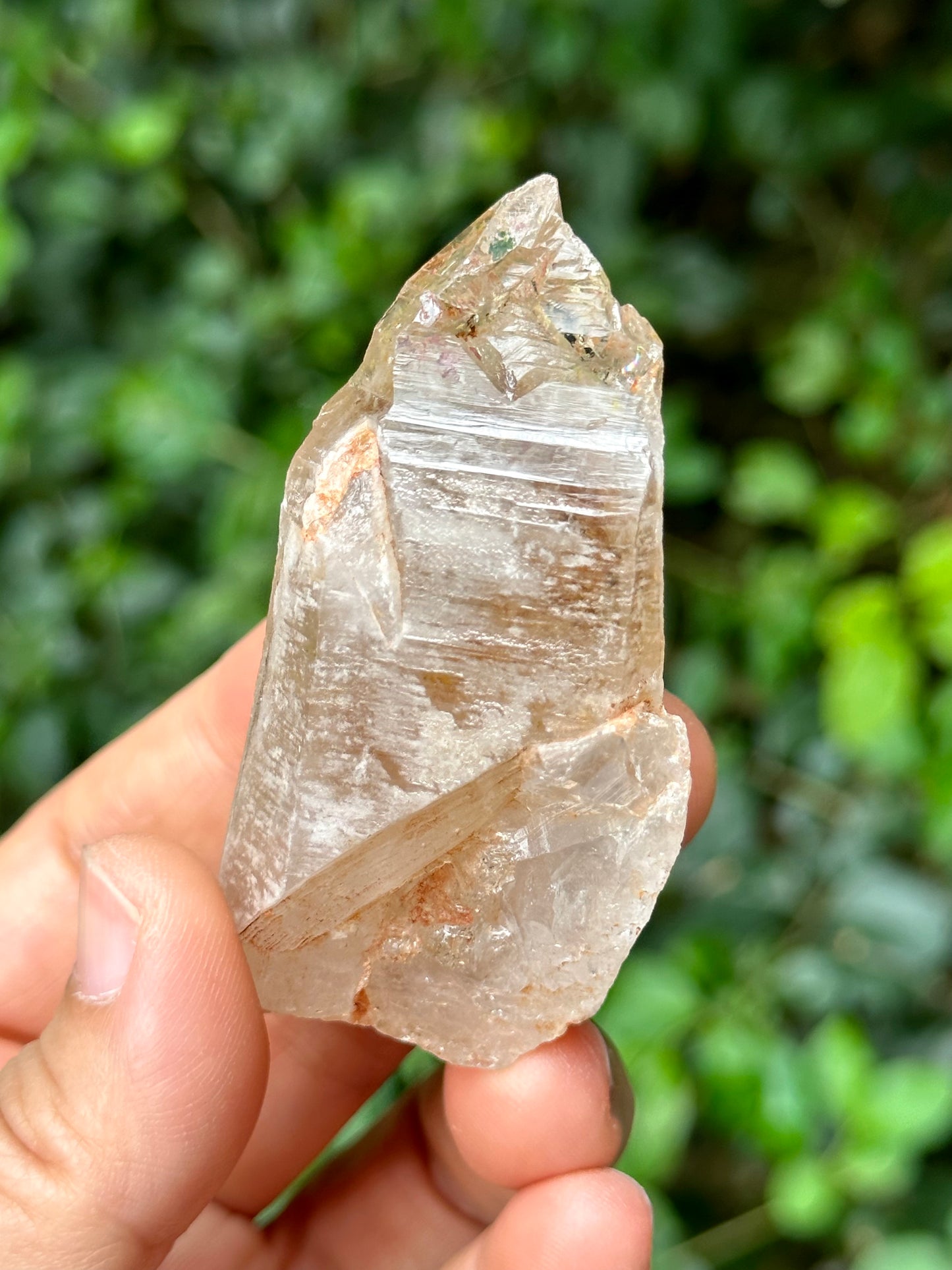 Fluorescent Skeletal Nirvana Quartz Crystal Point with Red Mud-from Madagascar Scepter crystal/Energy Quartz/Palm Stone Crystal- 73 g