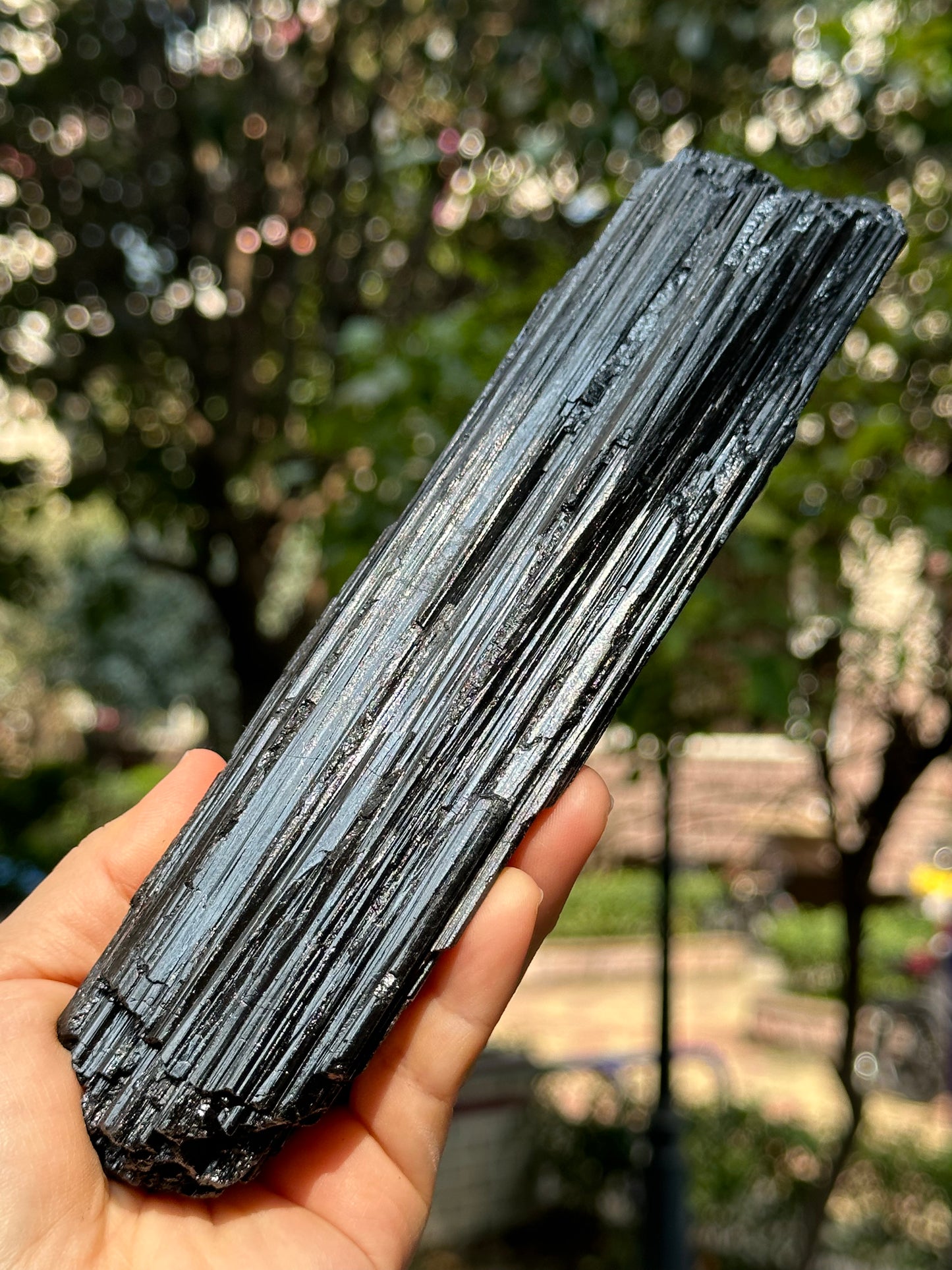 8.2 " Natural LONG & LARGE Raw Black Tourmaline Crystal Point/Shining Tourmaline Specimen-208*53*43 mm 860 g