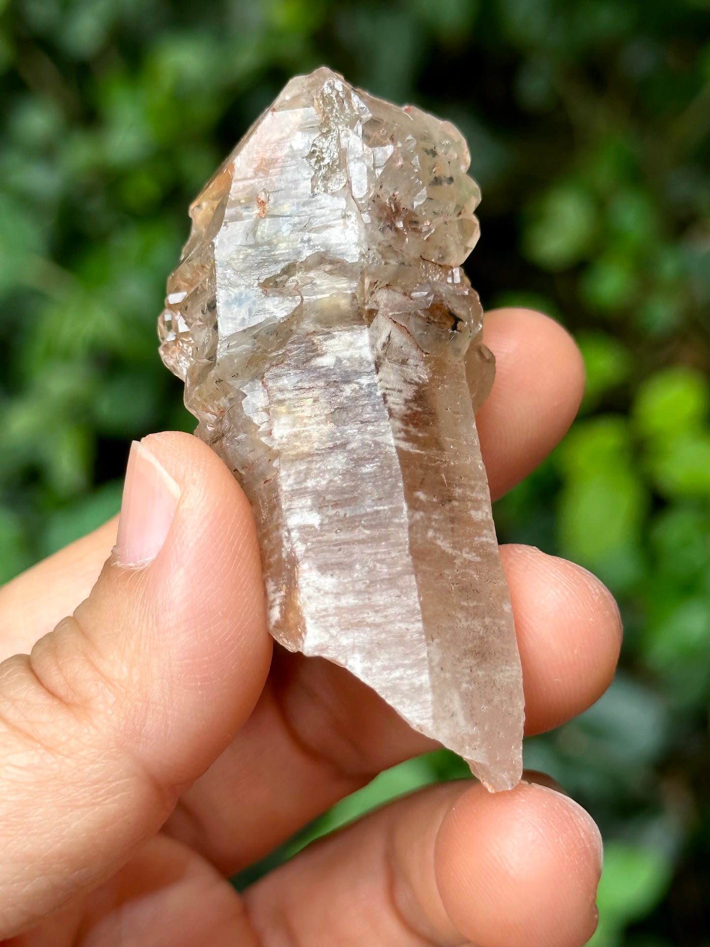 Rare Fluorescent Skeleton Fenster Quartz Crystal Point with red soil-from Madagascar Scepter Crystal/Energy Quartz-62*30*23 mm 47g