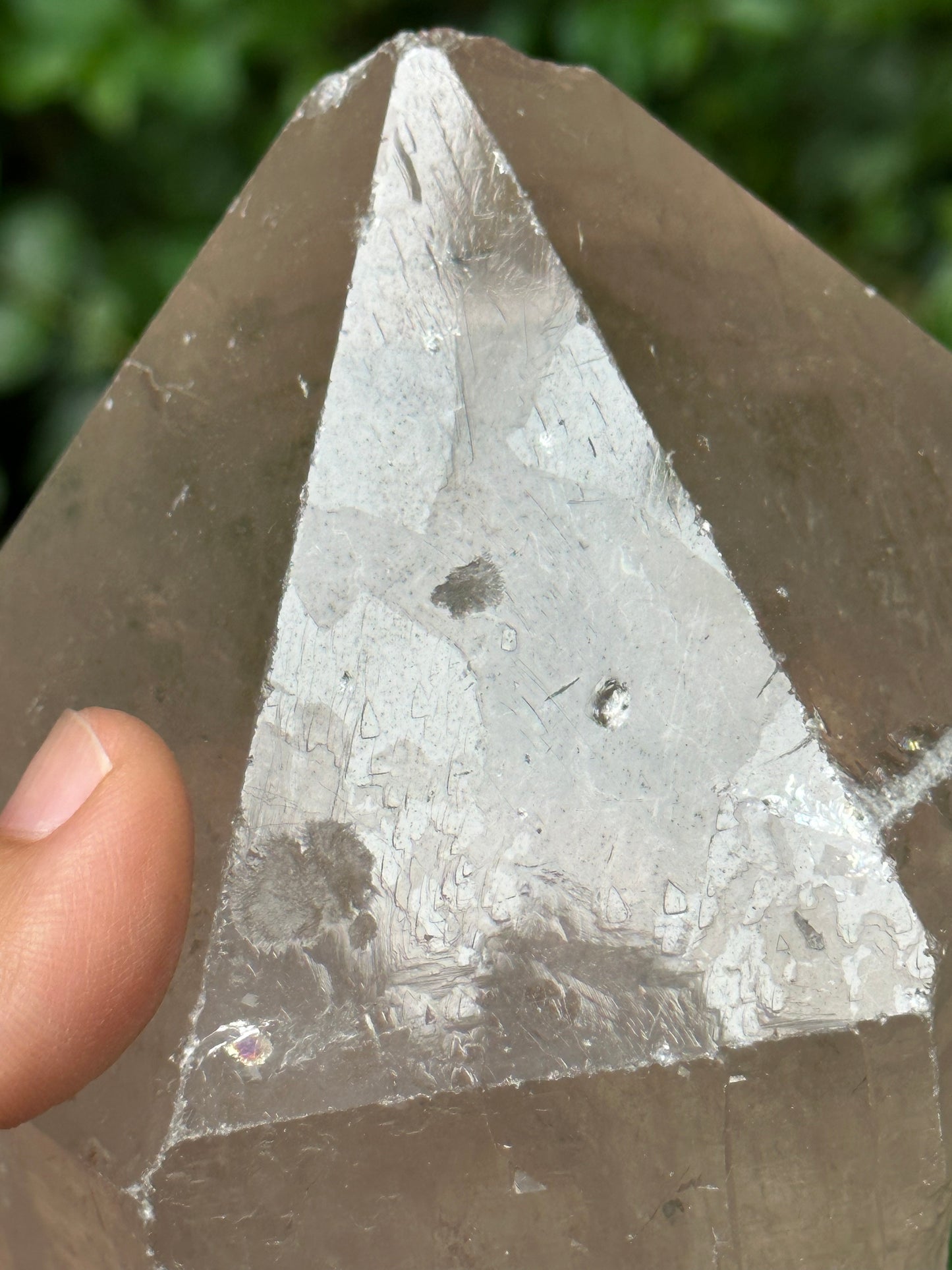 Clearance! 789 g Record-Keeper Quartz Crystal Point