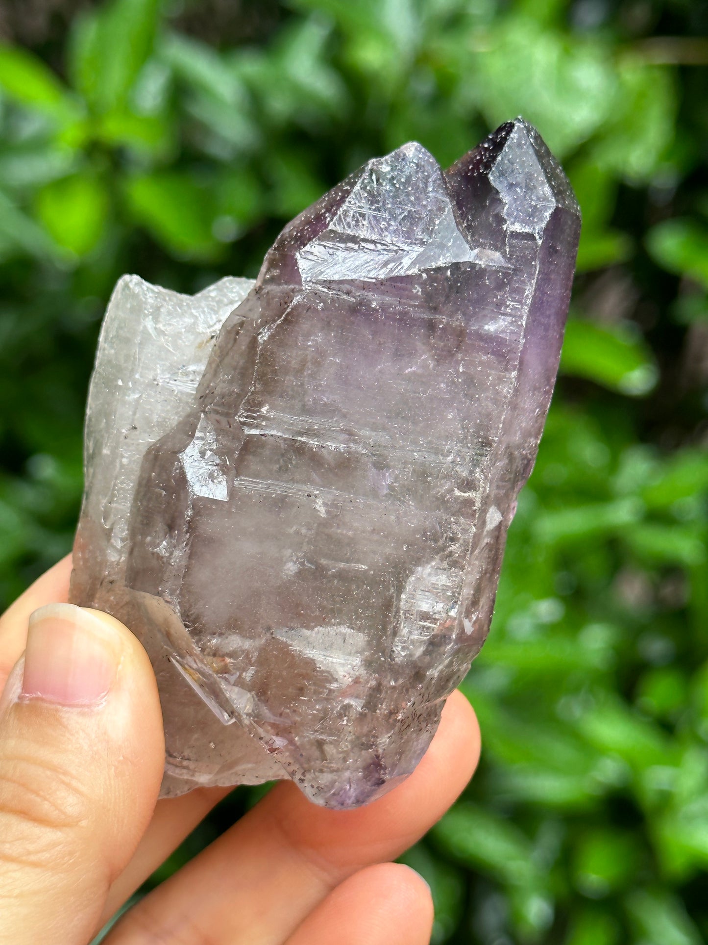 Rare Tabular Double Terminated Super 7 Amethyst Quartz Crystals