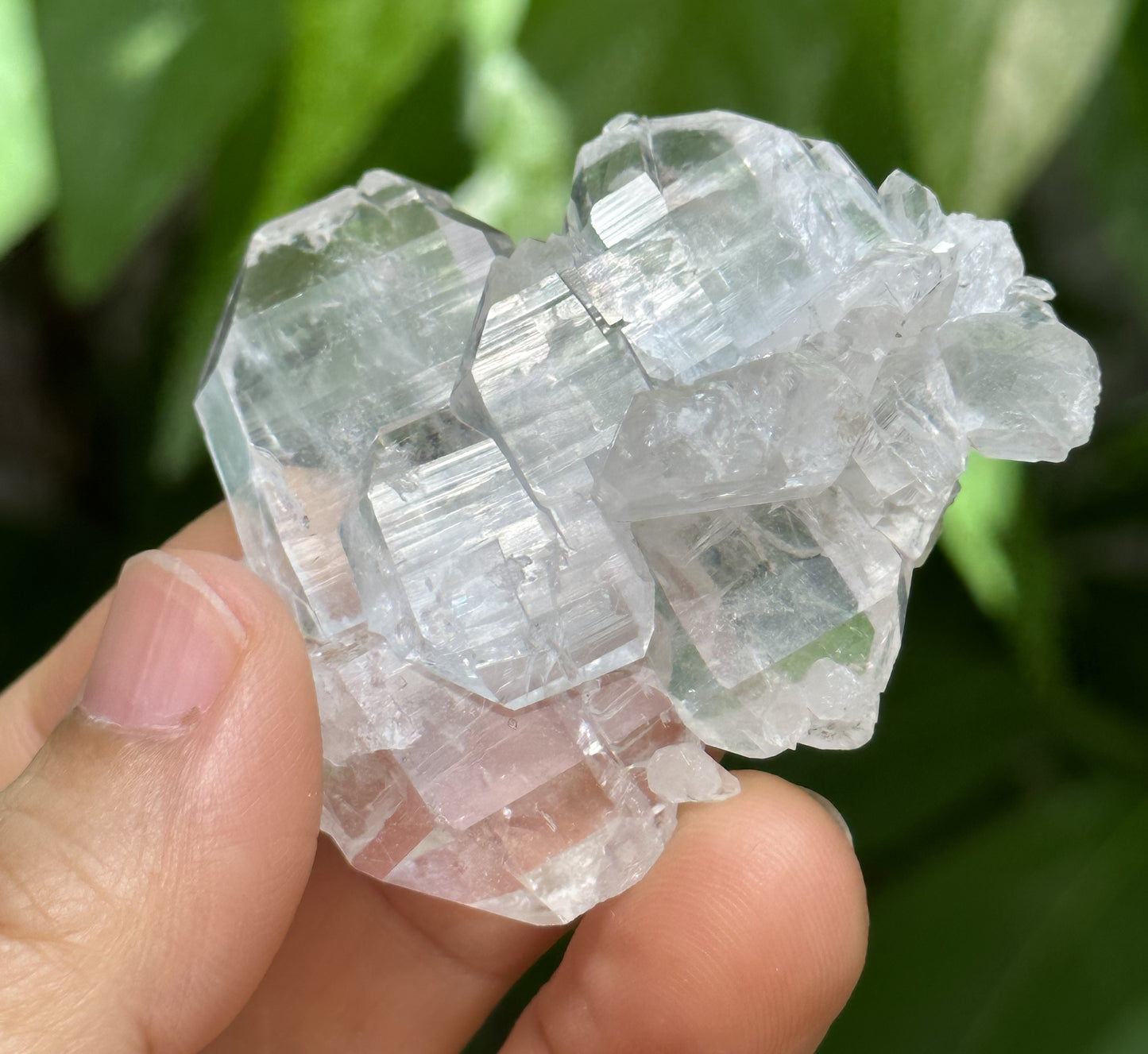 Clear Double Terminated Faden Tabular Quartz Crystal Cluster