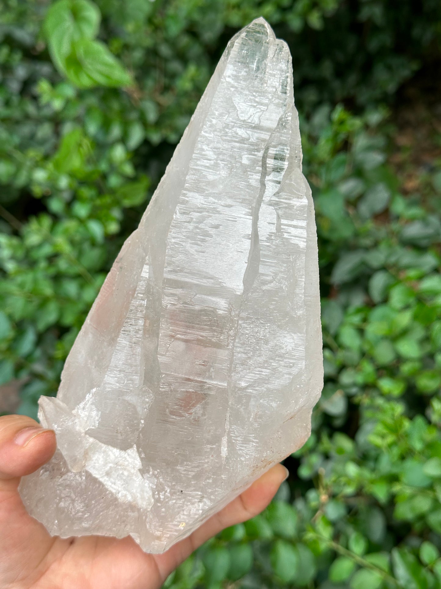 Rare Ice White Himalayan Skeletal Laser Quartz Castle Crystal Cluster/Knife Crystal Point-1125g 194*87*68 mm