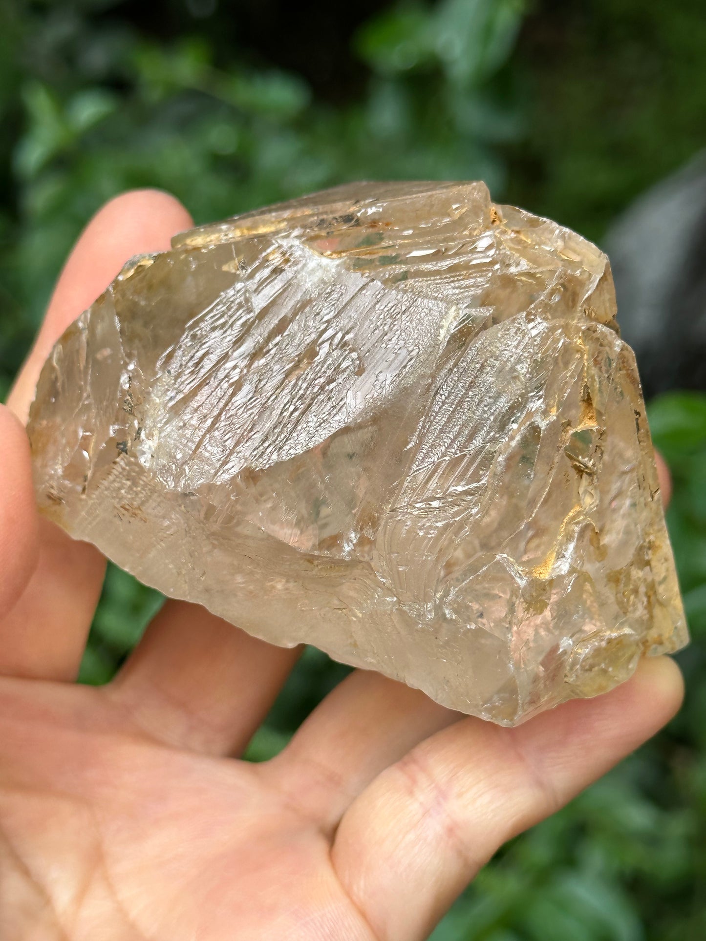 Large Clear Himalayan Skeletal Fenster Quartz with opening windows Crystal Point with golden soil-Himalayas crystal/Energy Quartz-310 g