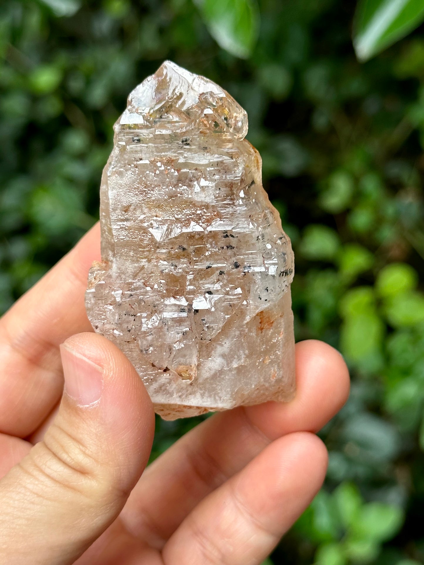 Fluorescent Skeletal Nirvana Quartz Crystal Point with Red Mud-from Madagascar Scepter crystal/Energy Quartz/Palm Stone Crystal- 73 g