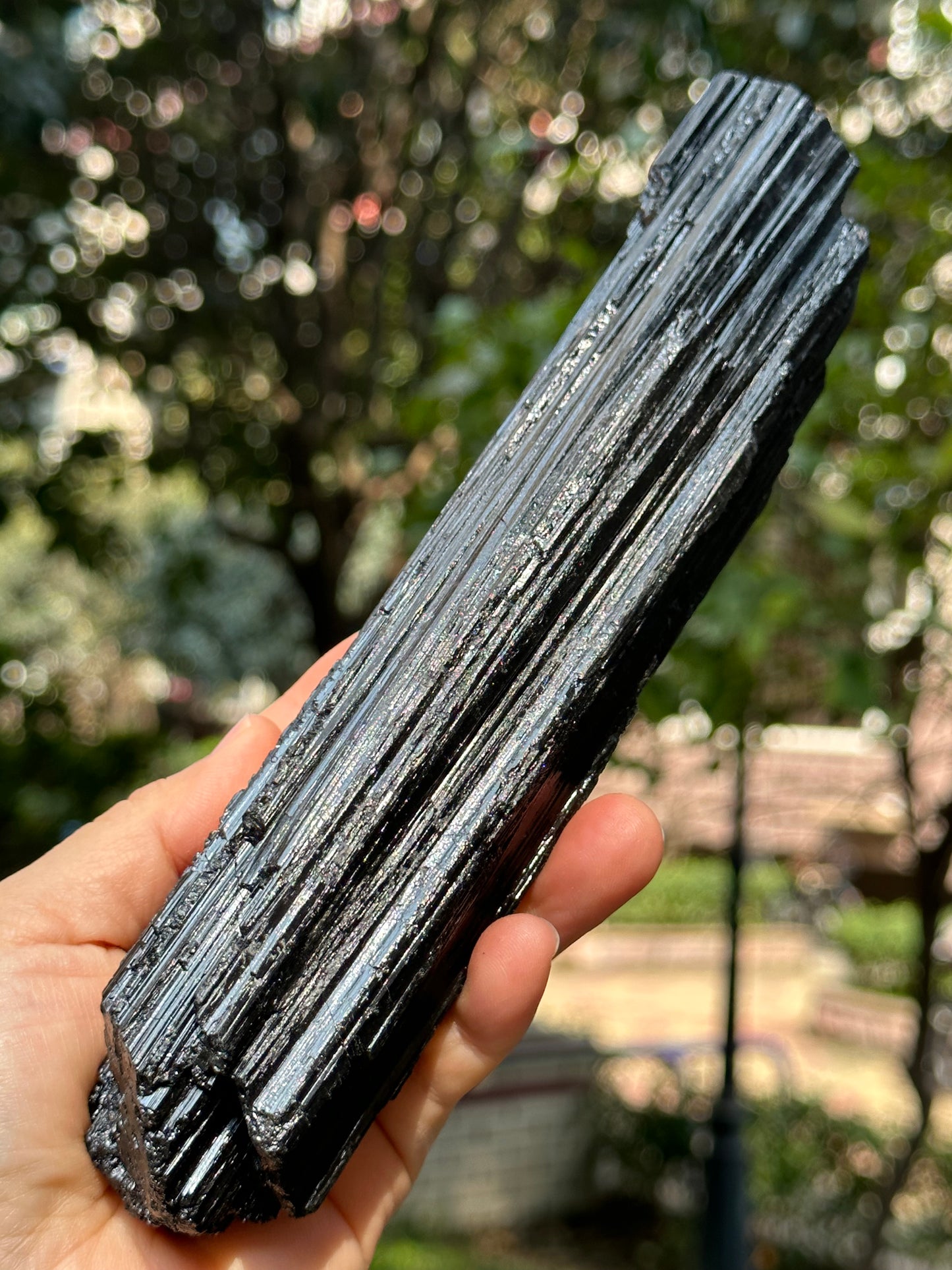 8.2 " Natural LONG & LARGE Raw Black Tourmaline Crystal Point/Shining Tourmaline Specimen-208*53*43 mm 860 g