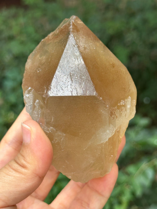 307 g Natural Citrine Record-keeper Quartz Crystal Point