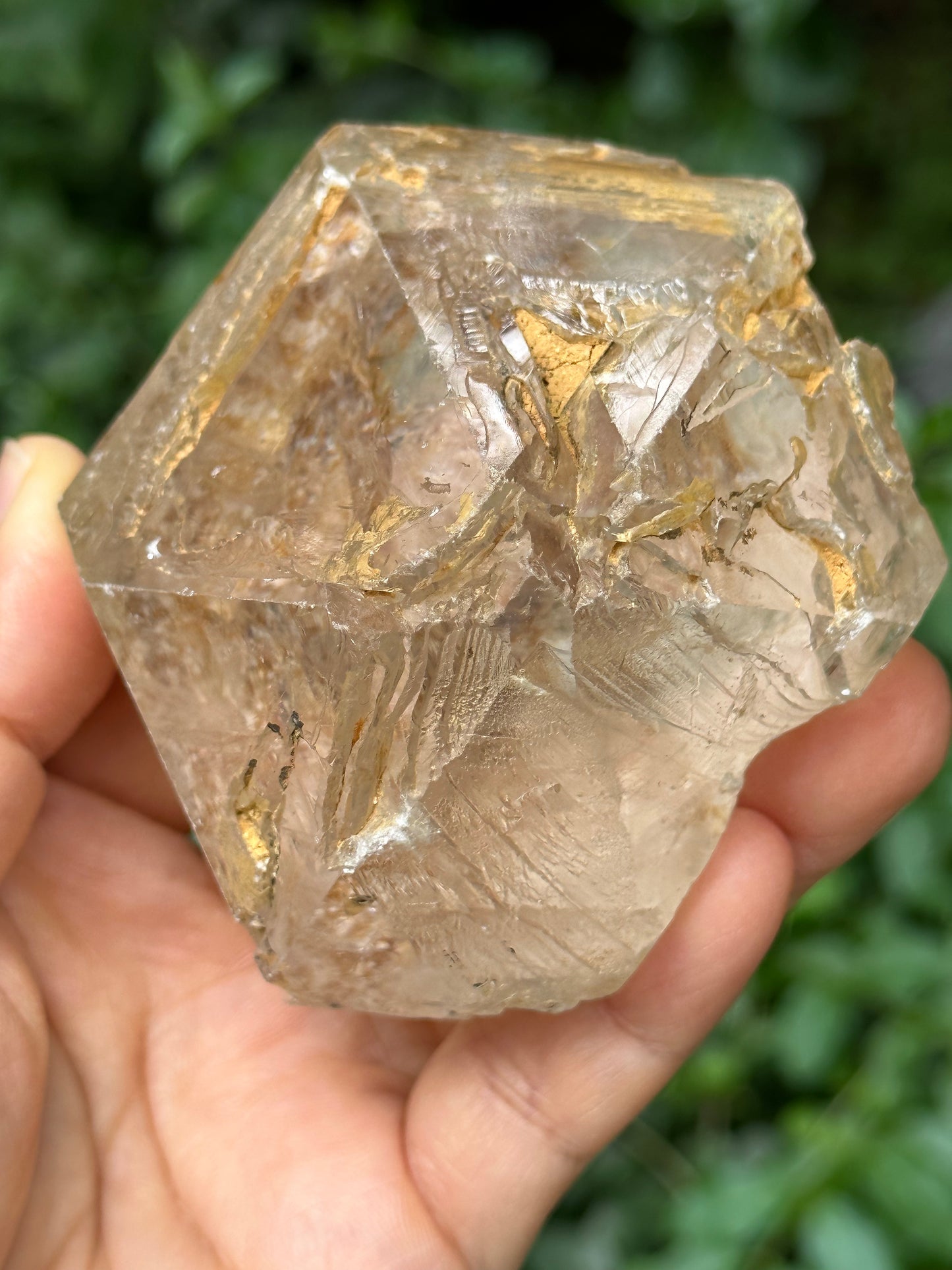 Large Clear Himalayan Skeletal Fenster Quartz with opening windows Crystal Point with golden soil-Himalayas crystal/Energy Quartz-310 g