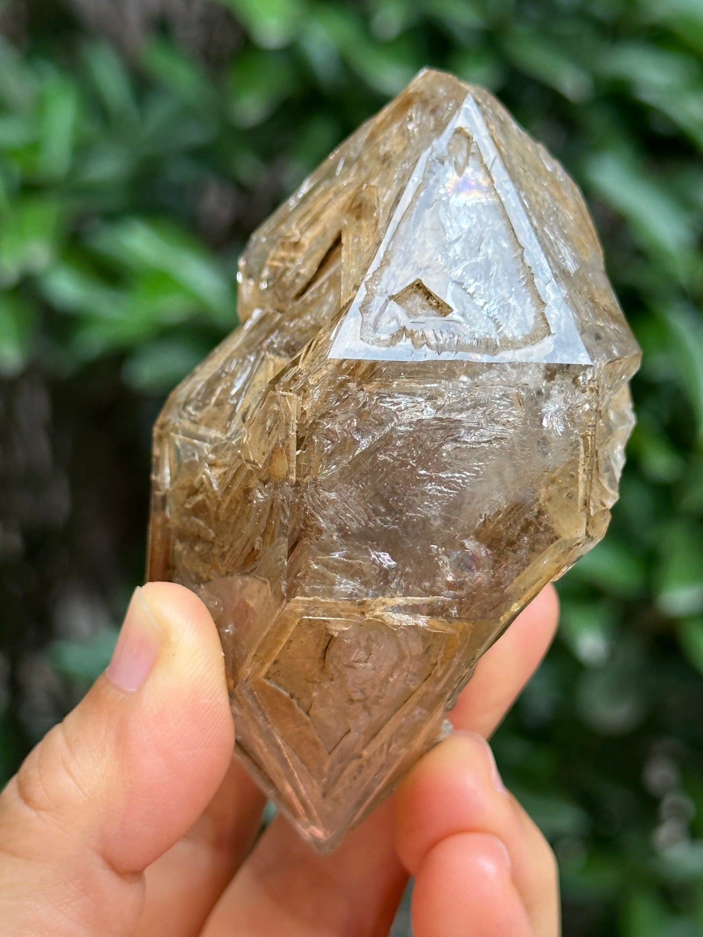 Rare Double Terminated Fenster Skeletal Quartz Crystal/Himalayan Energy Quartz Crystal-85*54*43 mm 188 g