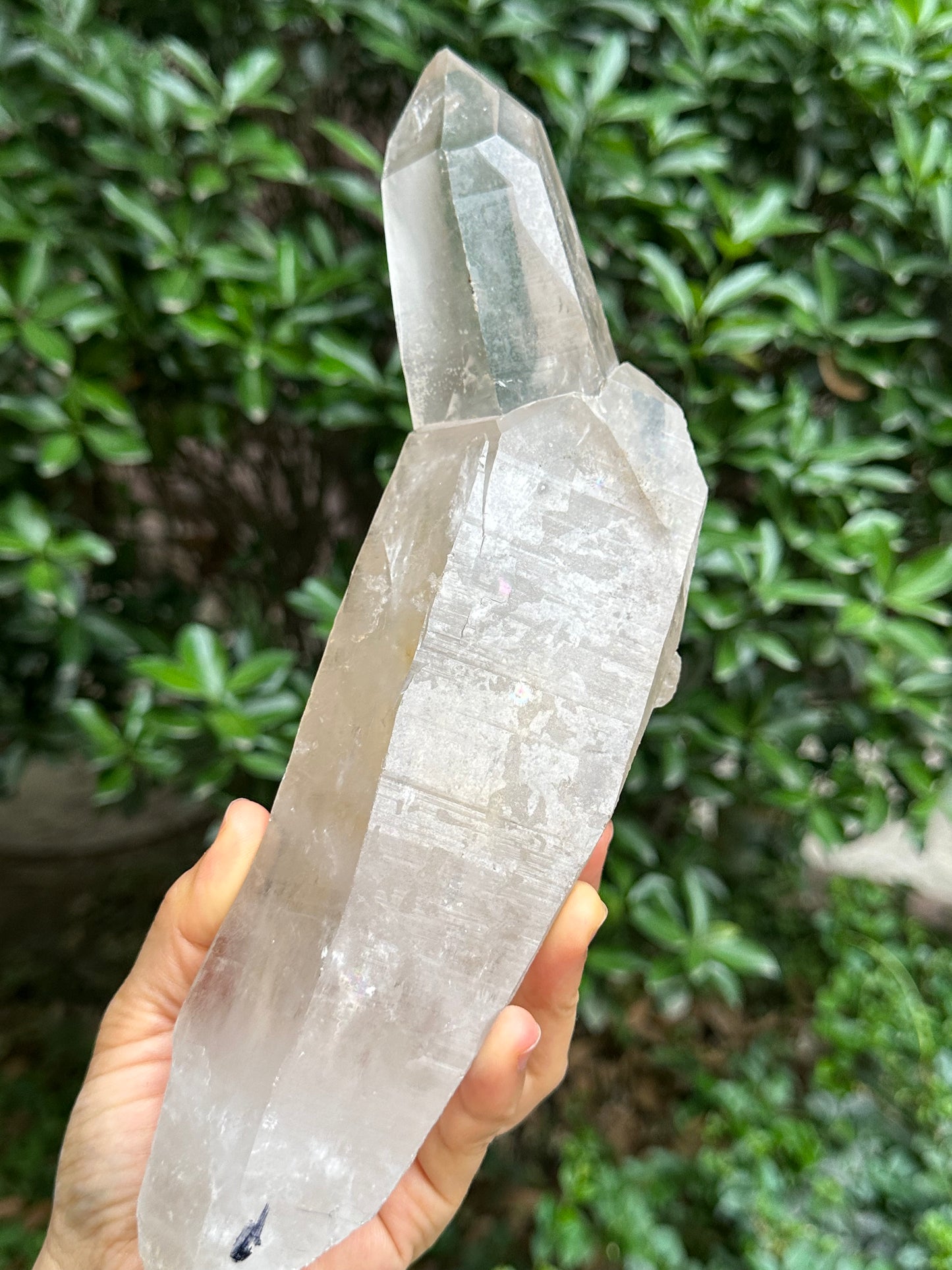 3.26 lbs Rare Himalayan Castle Quartz Starbrary Crystal Point/Rainbow Time Links Crystal/Reiki/Chakra/Healing Stone/Meditation/Special Gift-1466g