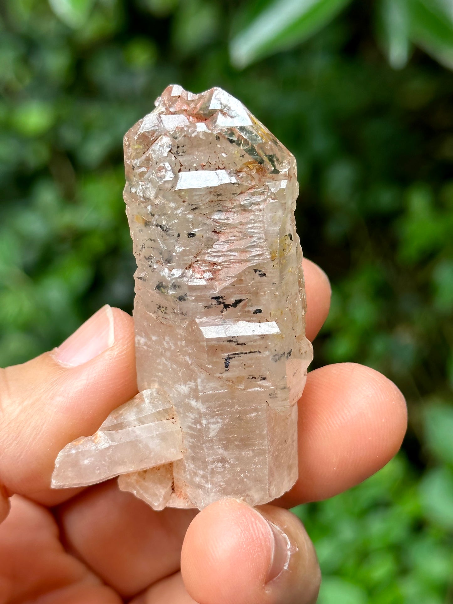 Rare Fluorescent Skeletal Enhydro Quartz Crystal Point with Red Mud-from Madagascar Scepter crystal/Energy Quartz-57*16*19mm 28g