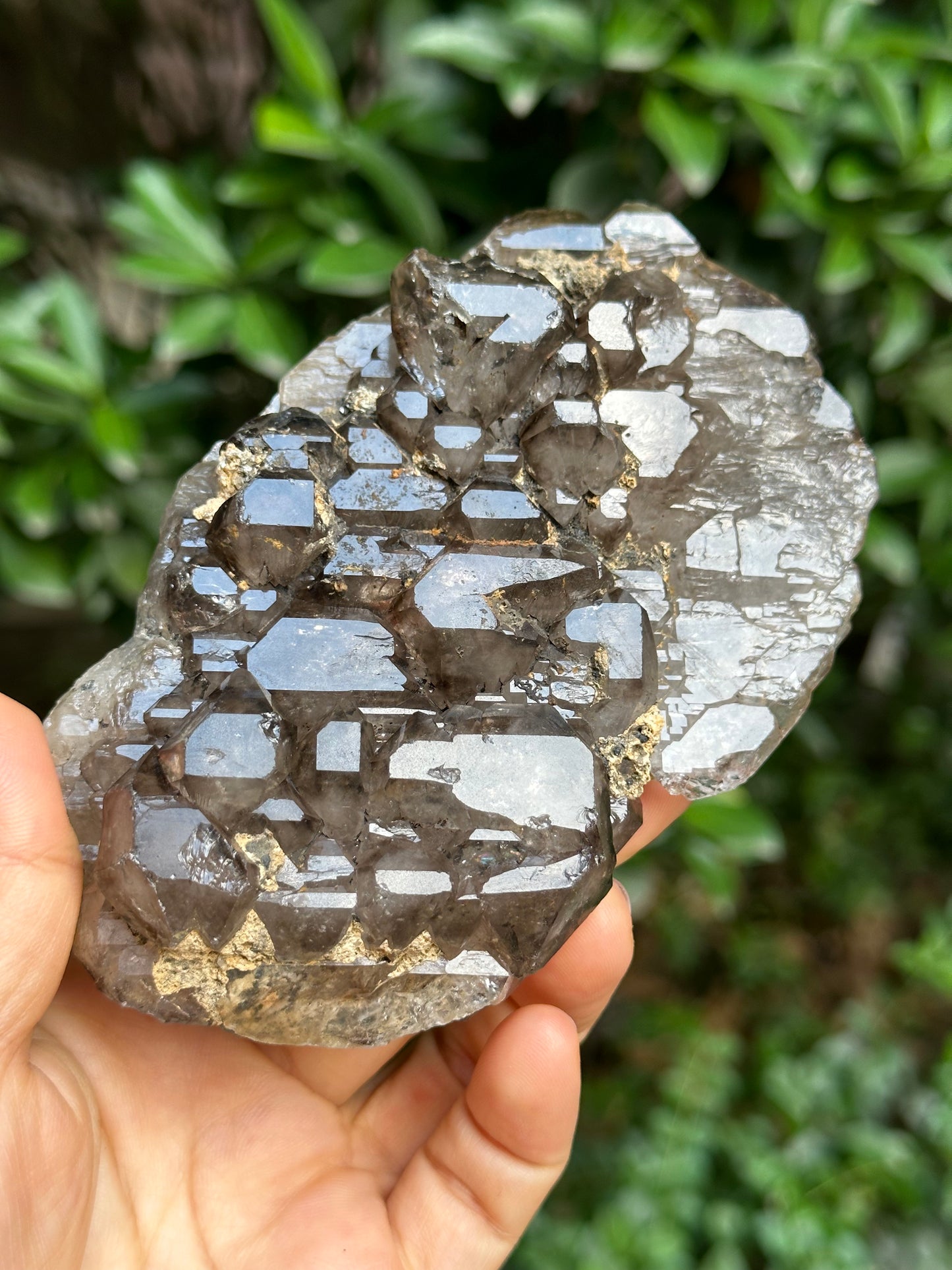 294 g Rare Double Terminated Double Sided Smokey Quartz Crystal Plate