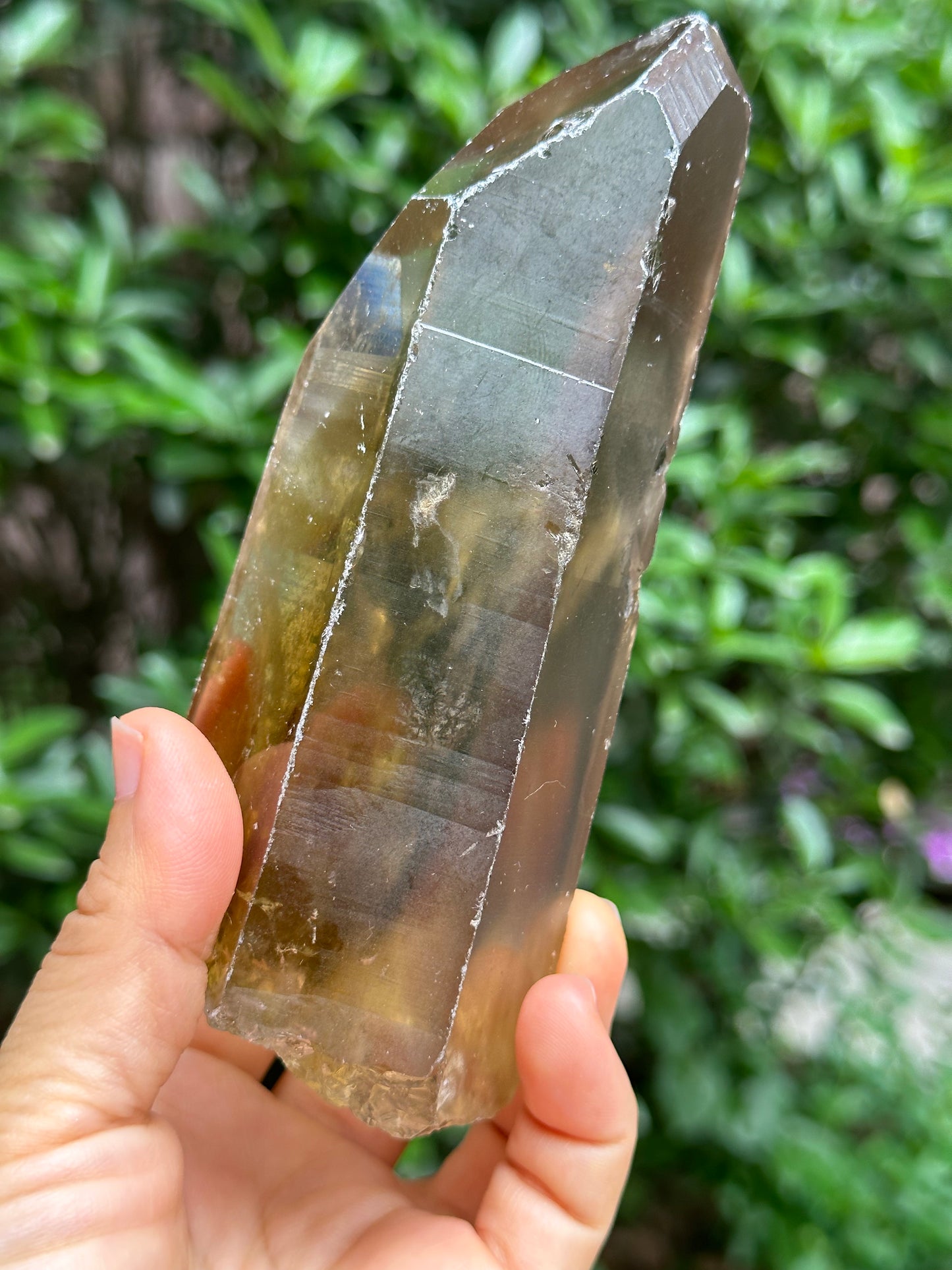 Rare Window Citrine Crystal Time Links Quartz Crystal Energy Healing Meditation