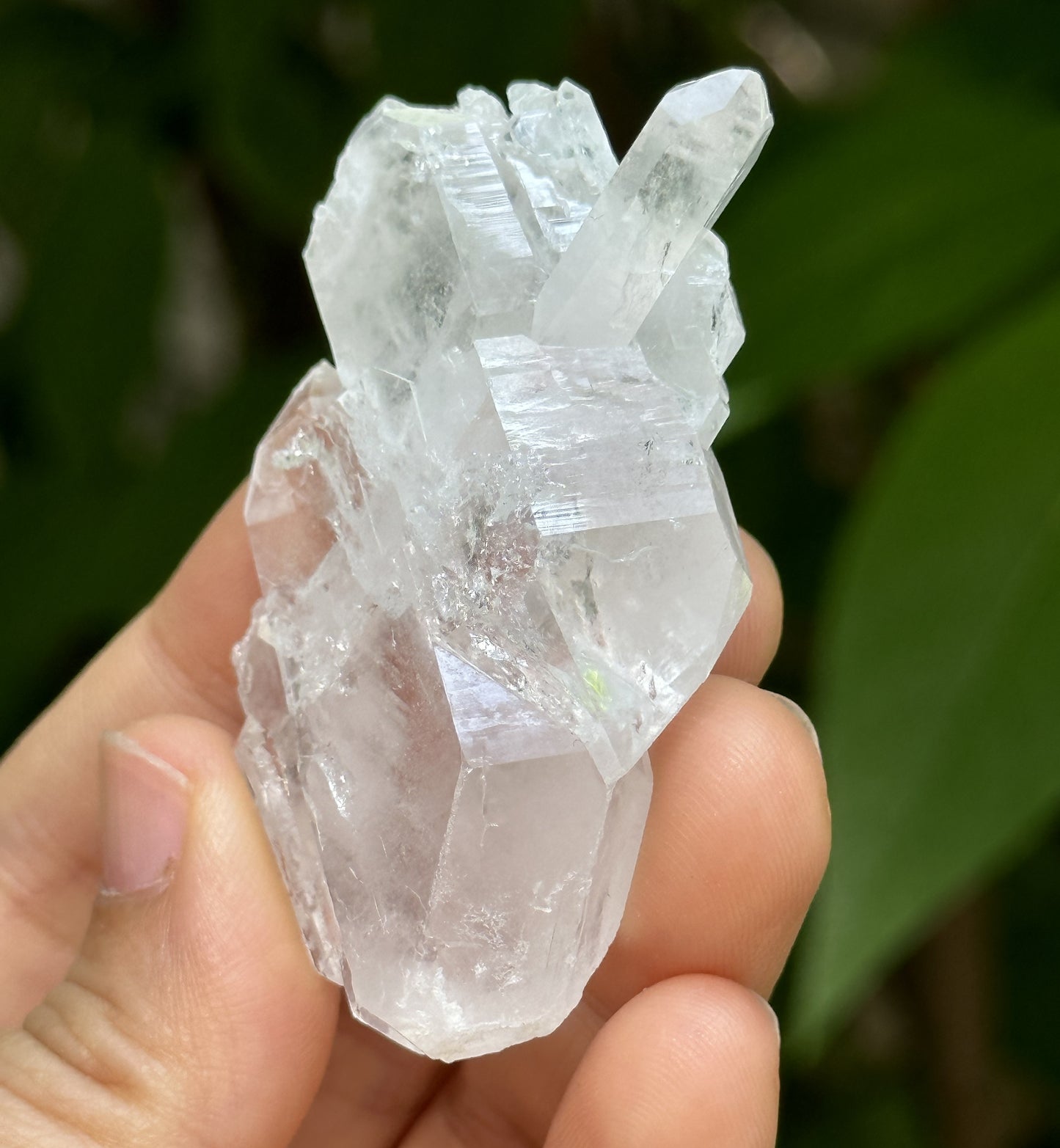 Clear Himalayan Double Termianted Faden Quartz Tabular Crystal Cluster