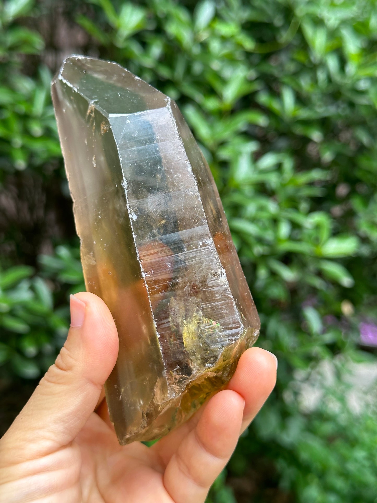 Rare Window Citrine Crystal Time Links Quartz Crystal Energy Healing Meditation