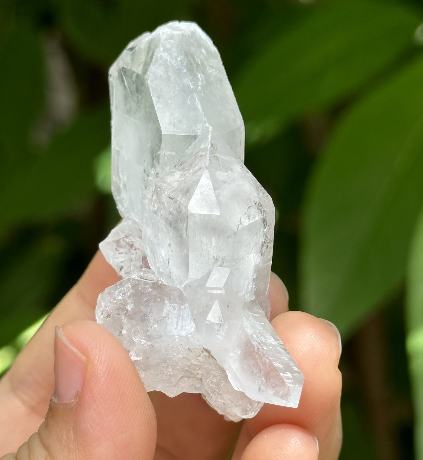 Clear Himalayan Double Termianted Faden Quartz Tabular Crystal Cluster