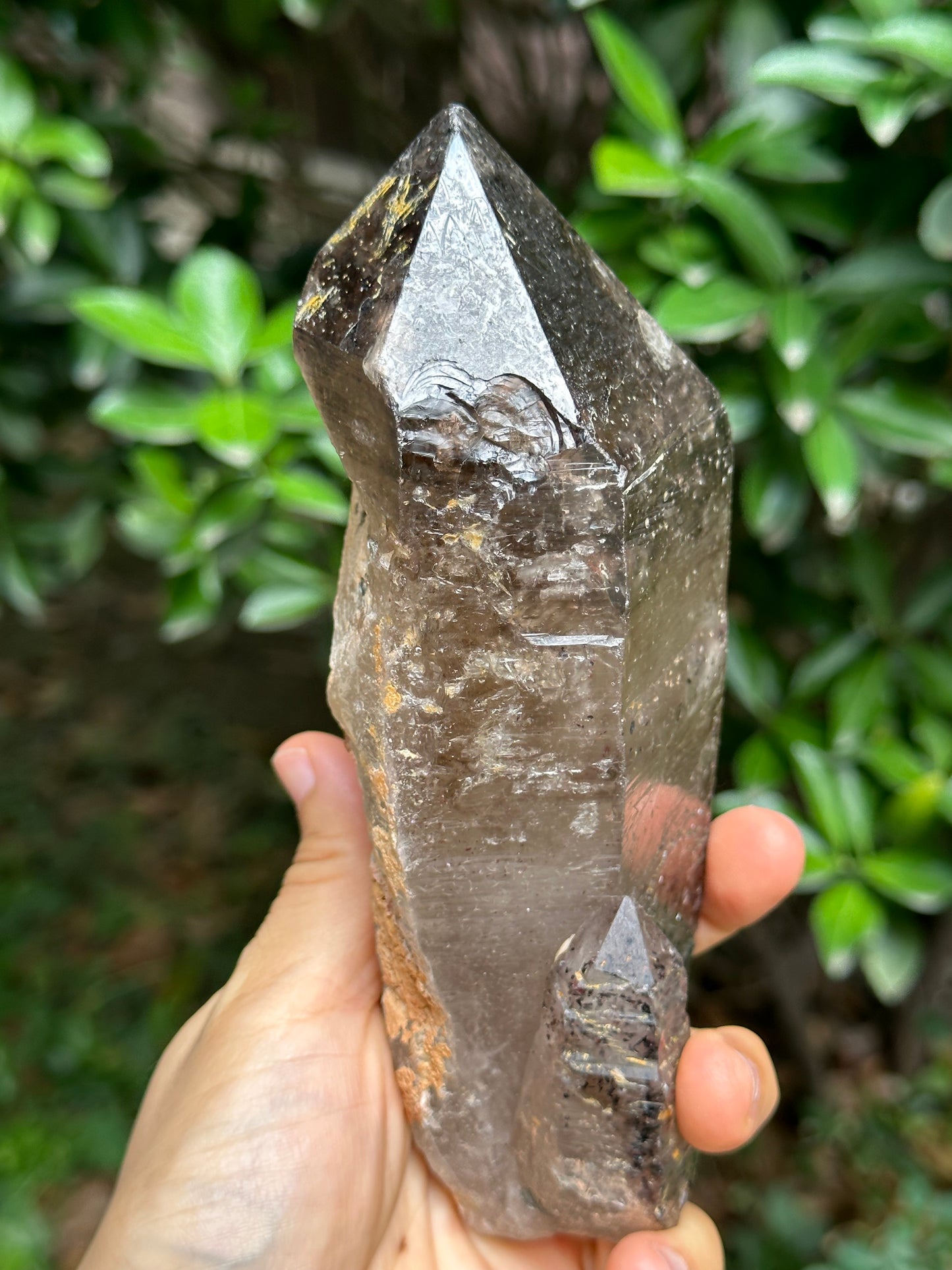 759 g Rare Record-keeper Strawberry Quartz Crystal Point