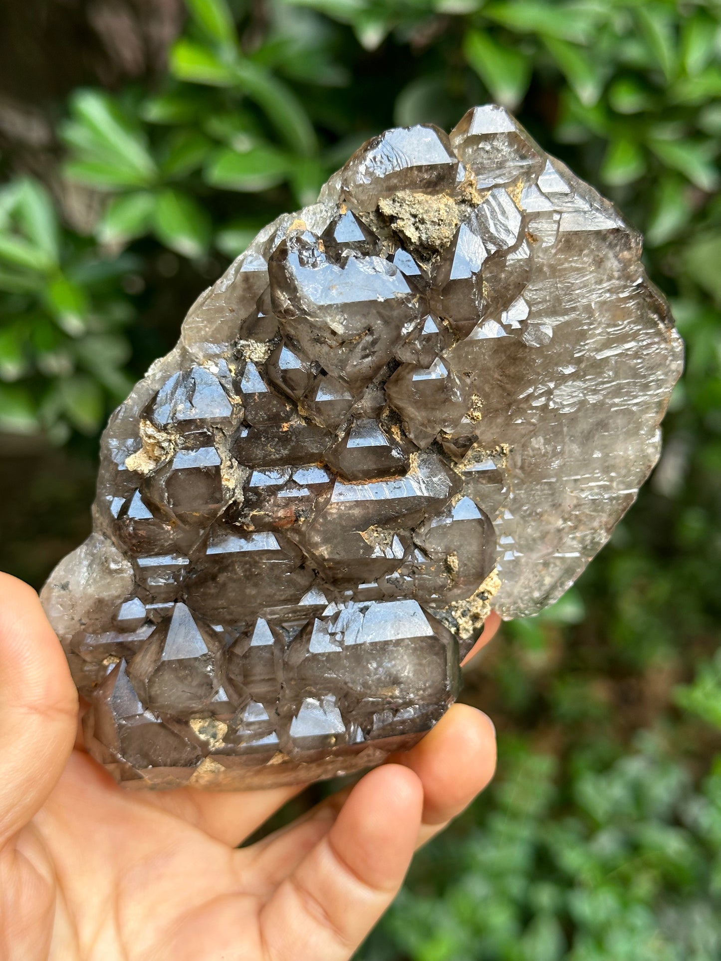 294 g Rare Double Terminated Double Sided Smokey Quartz Crystal Plate