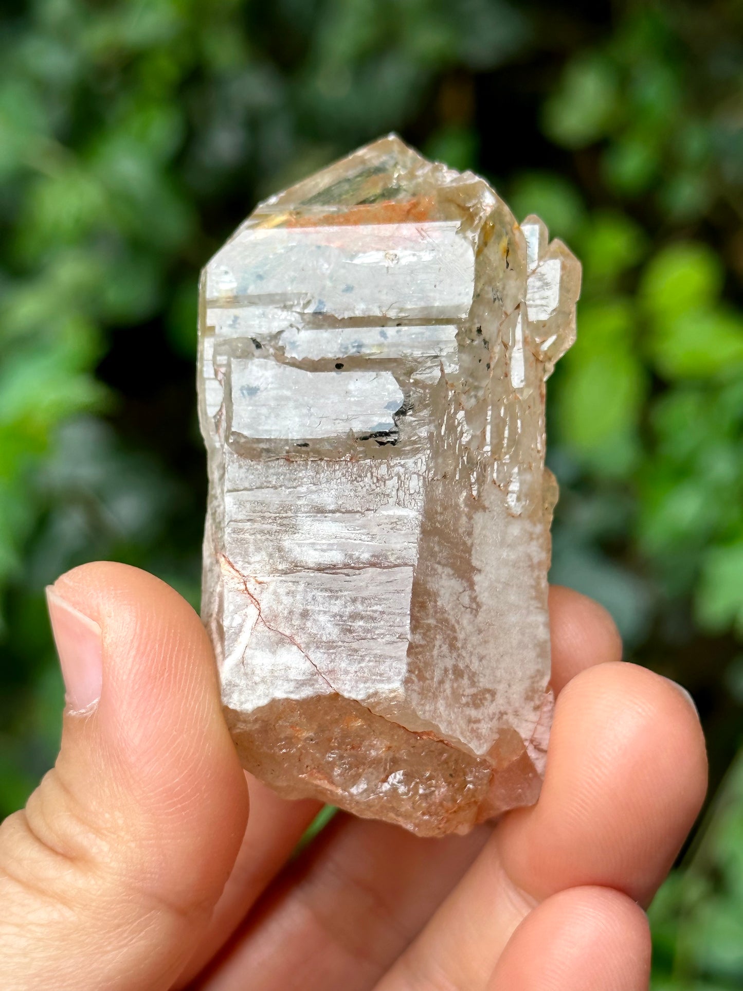 Fluorescent Skeletal Nirvana Quartz Crystal Point with Red Mud-from Madagascar Scepter crystal/Energy Quartz/Palm Stone Crystal- 61*33*24 mm 63 g