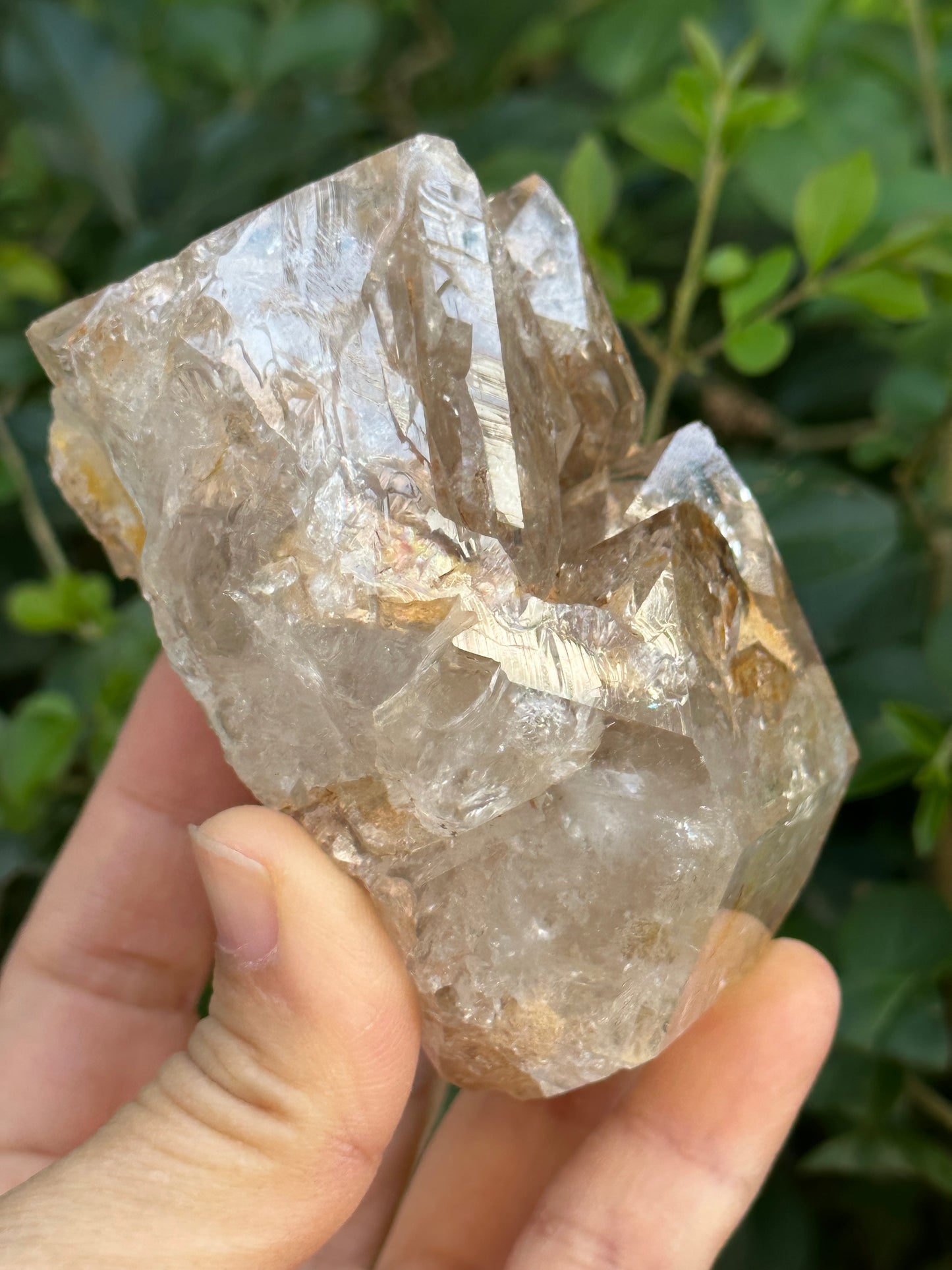 307 g Clear Himalayan Record-keeper Skeletal Quartz Fenster Crystal Cluster