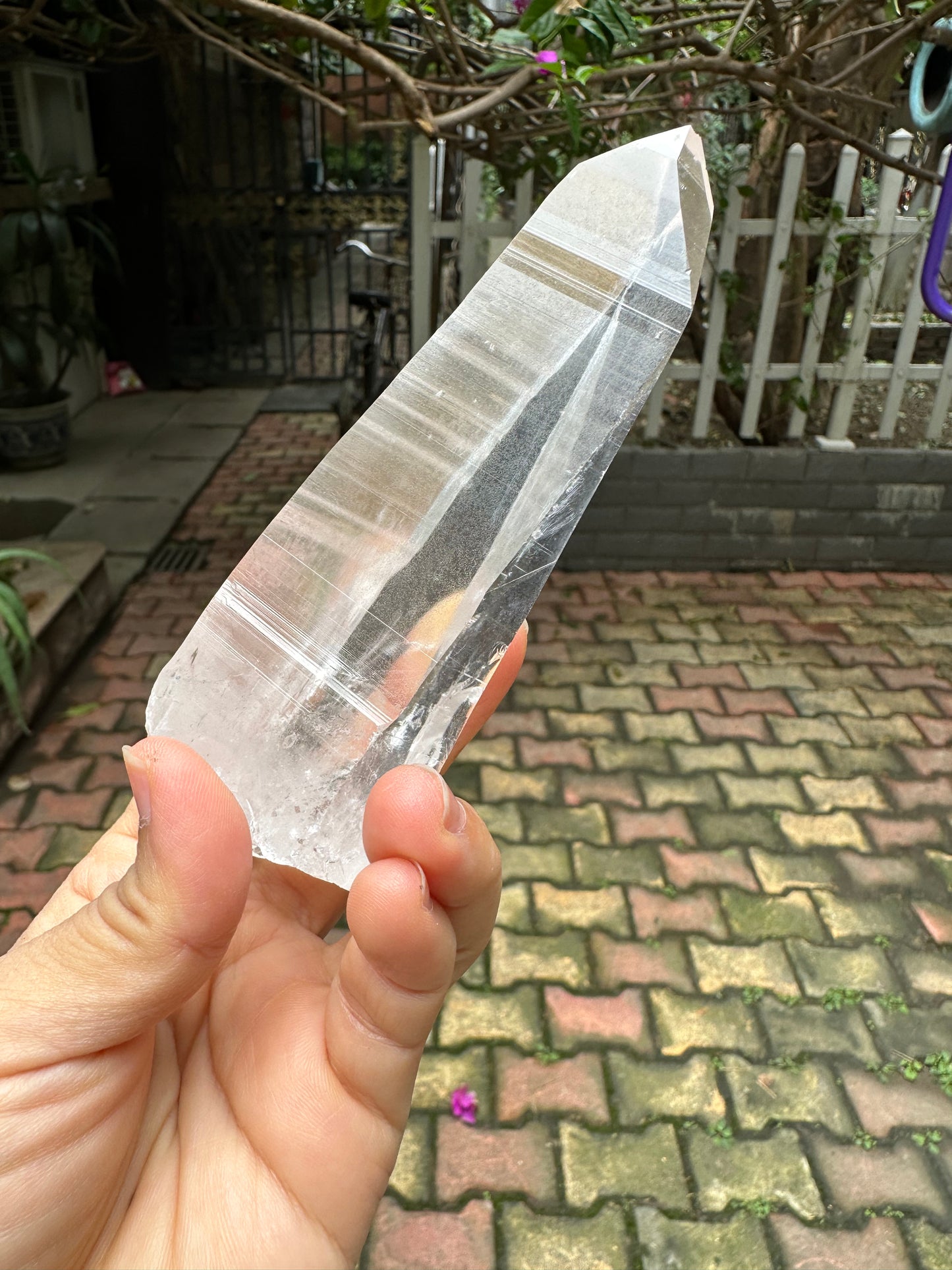 Columbia Muzo Habit Quartz Crystal Point/Laser Quartz/Lemurian Seed Quartz Crystal