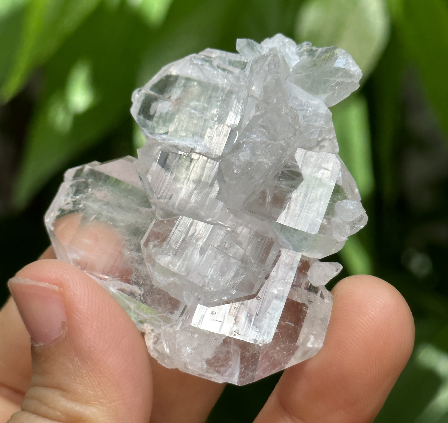 Clear Double Terminated Faden Tabular Quartz Crystal Cluster