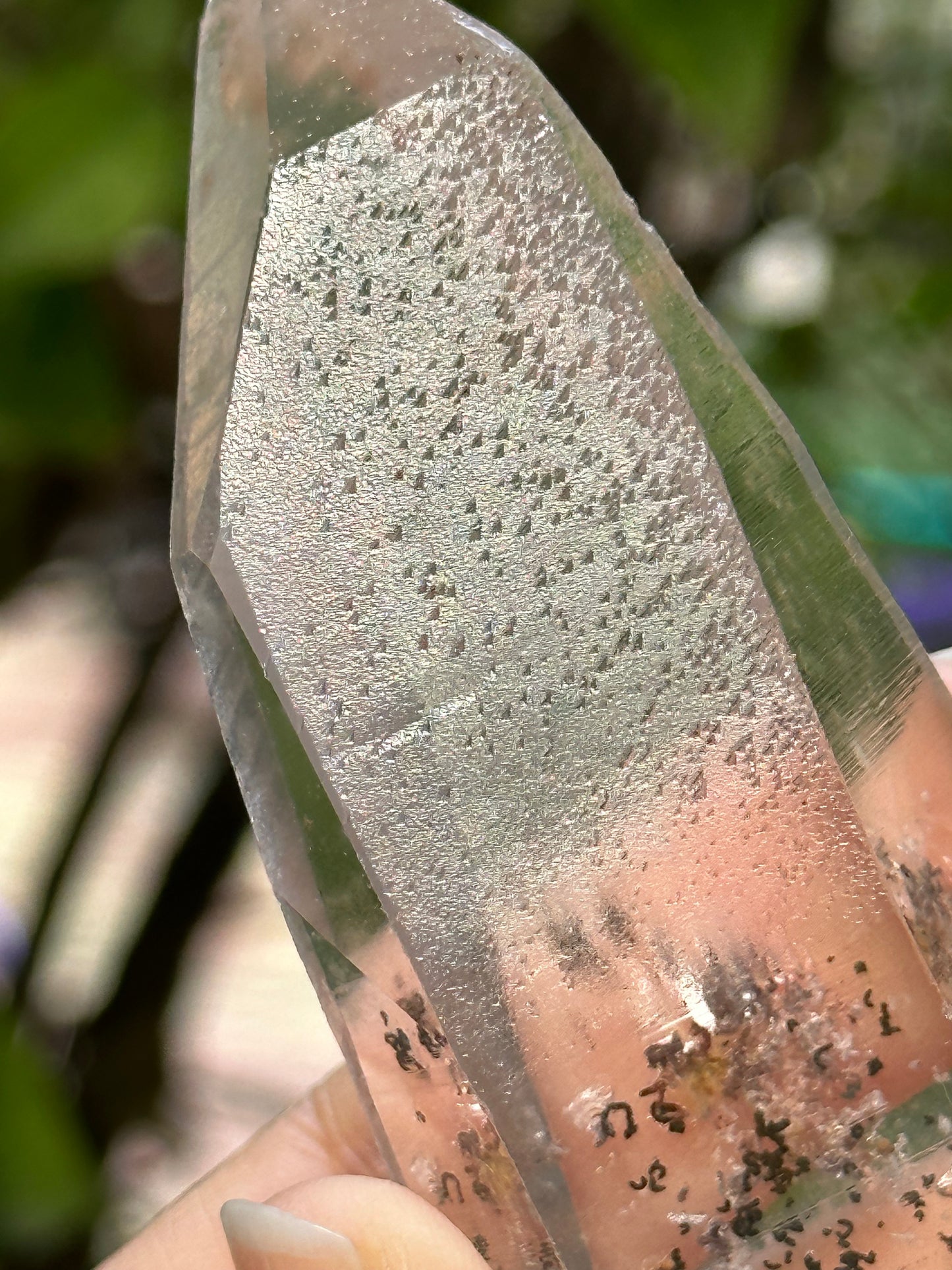 Rare Perfect Clear Record-keeper Lemurian Seed Quartz Crystal With Green Phantom Included