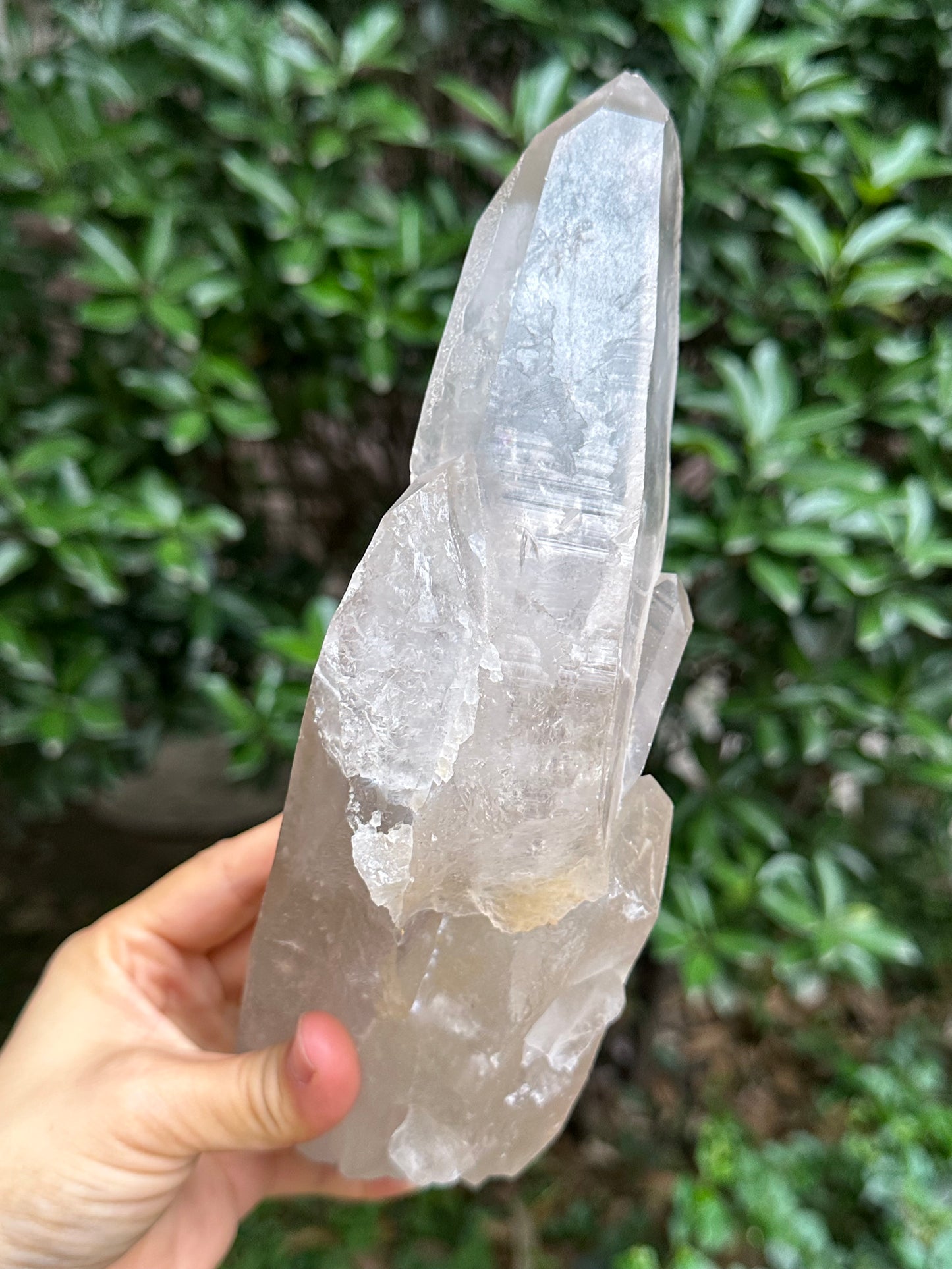 3.26 lbs Rare Himalayan Castle Quartz Starbrary Crystal Point/Rainbow Time Links Crystal/Reiki/Chakra/Healing Stone/Meditation/Special Gift-1466g