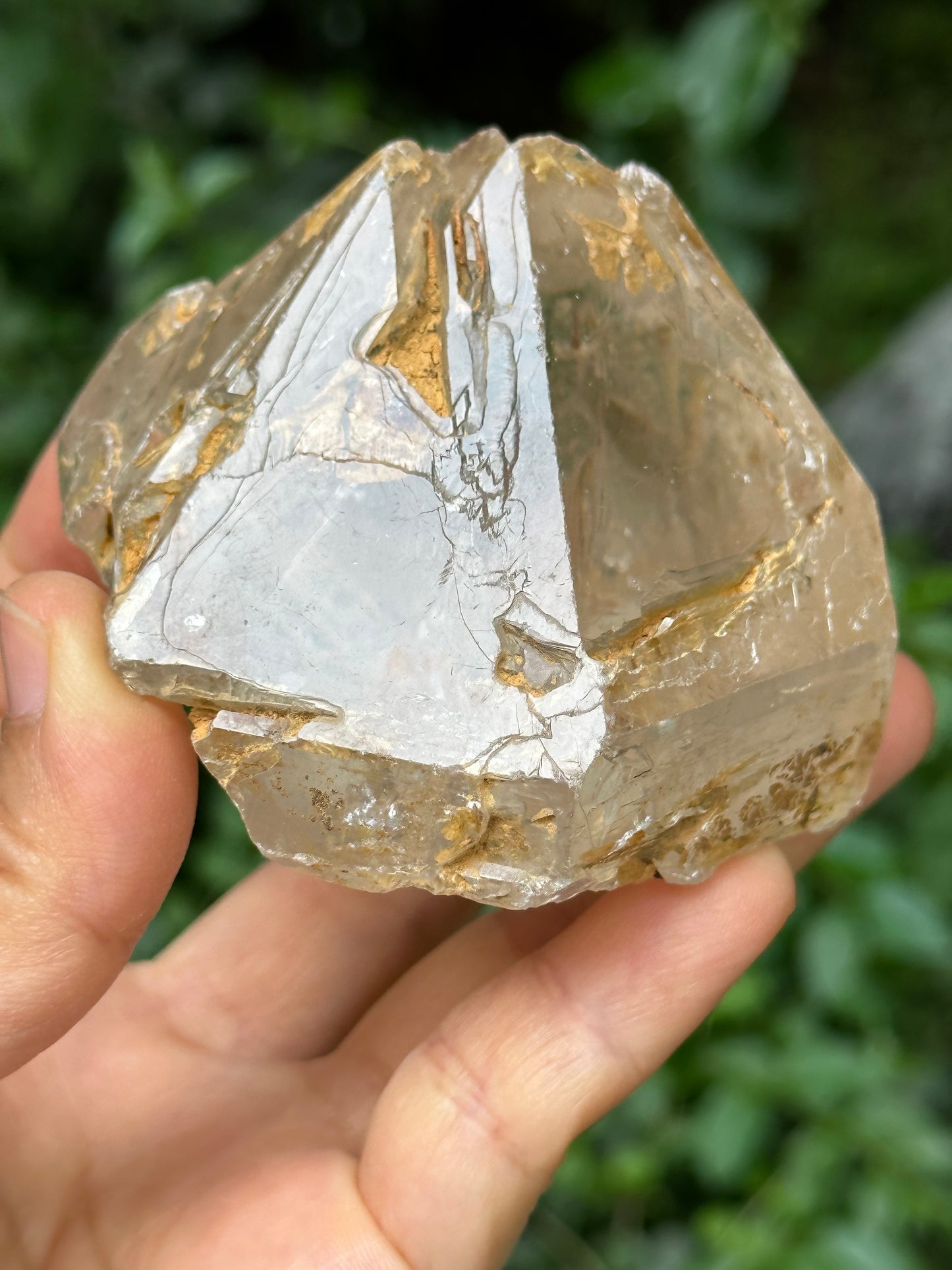 Large Clear Himalayan Skeletal Fenster Quartz with opening windows Crystal Point with golden soil-Himalayas crystal/Energy Quartz-310 g