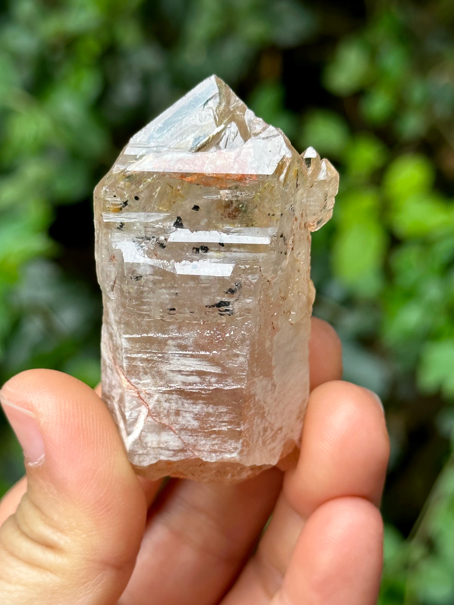 Fluorescent Skeletal Nirvana Quartz Crystal Point with Red Mud-from Madagascar Scepter crystal/Energy Quartz/Palm Stone Crystal- 61*33*24 mm 63 g