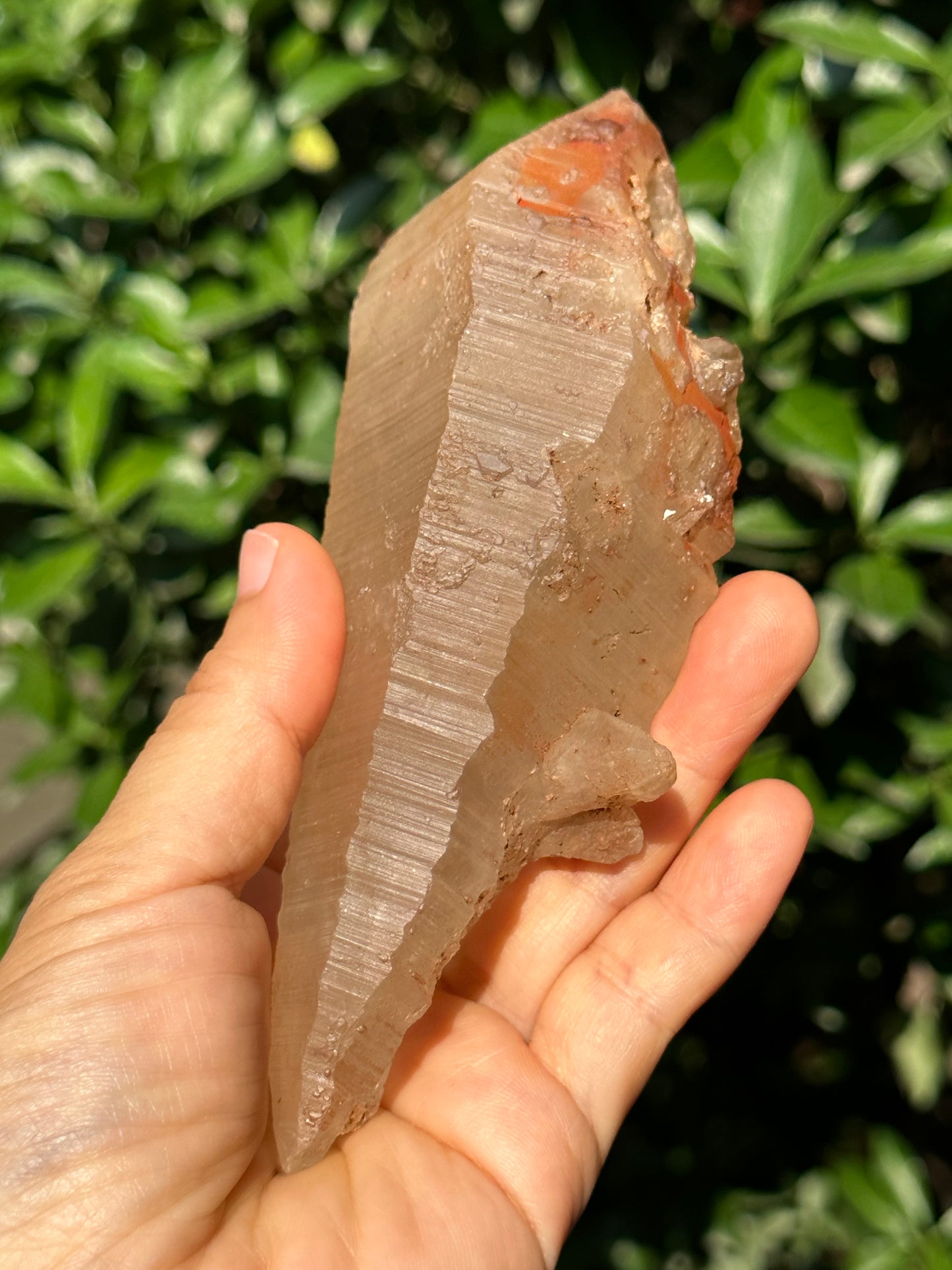 415 g Rare Double Terminated Lemurian Quartz Nirvana Crystal,Meditation,Energy Crystal