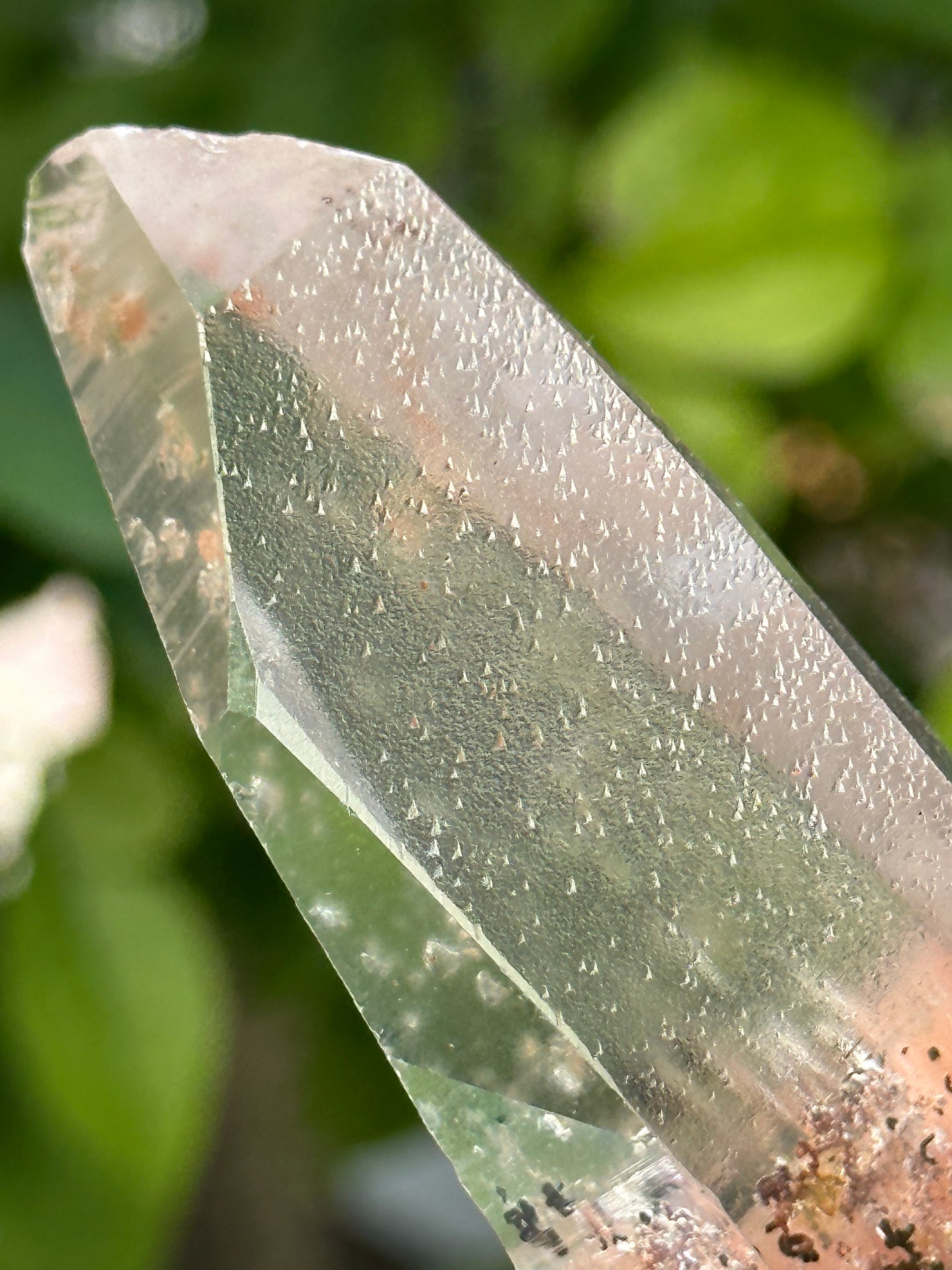 Rare Perfect Clear Record-keeper Lemurian Seed Quartz Crystal With Green Phantom Included