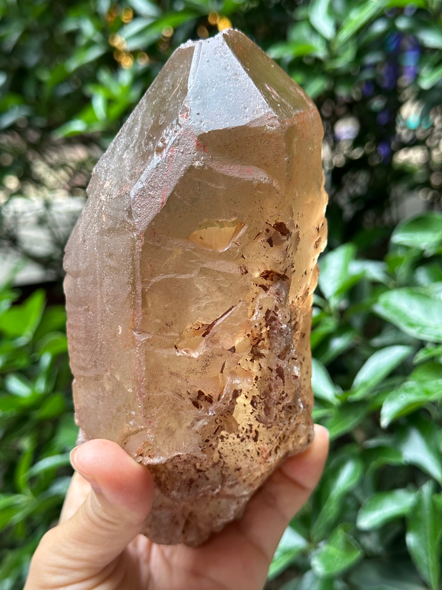 2.82 lbs Rare Large Clear Yellow Record-keeper Citrine Quartz Nirvana Crystal