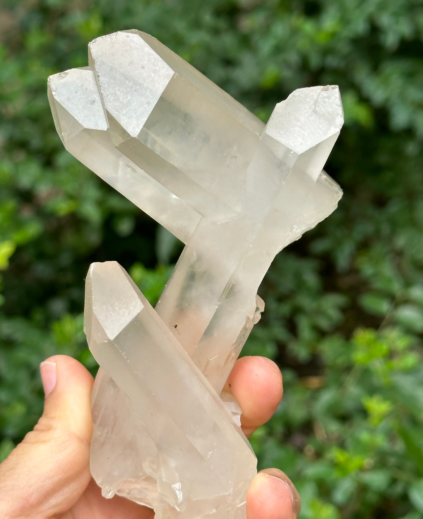 Rare Raw Bridge Quartz Crystal Cluster/Tantric twins+Time Links+Transmitter Quartz/Healing Crystal and Stone-117*46*89 mm 309 g