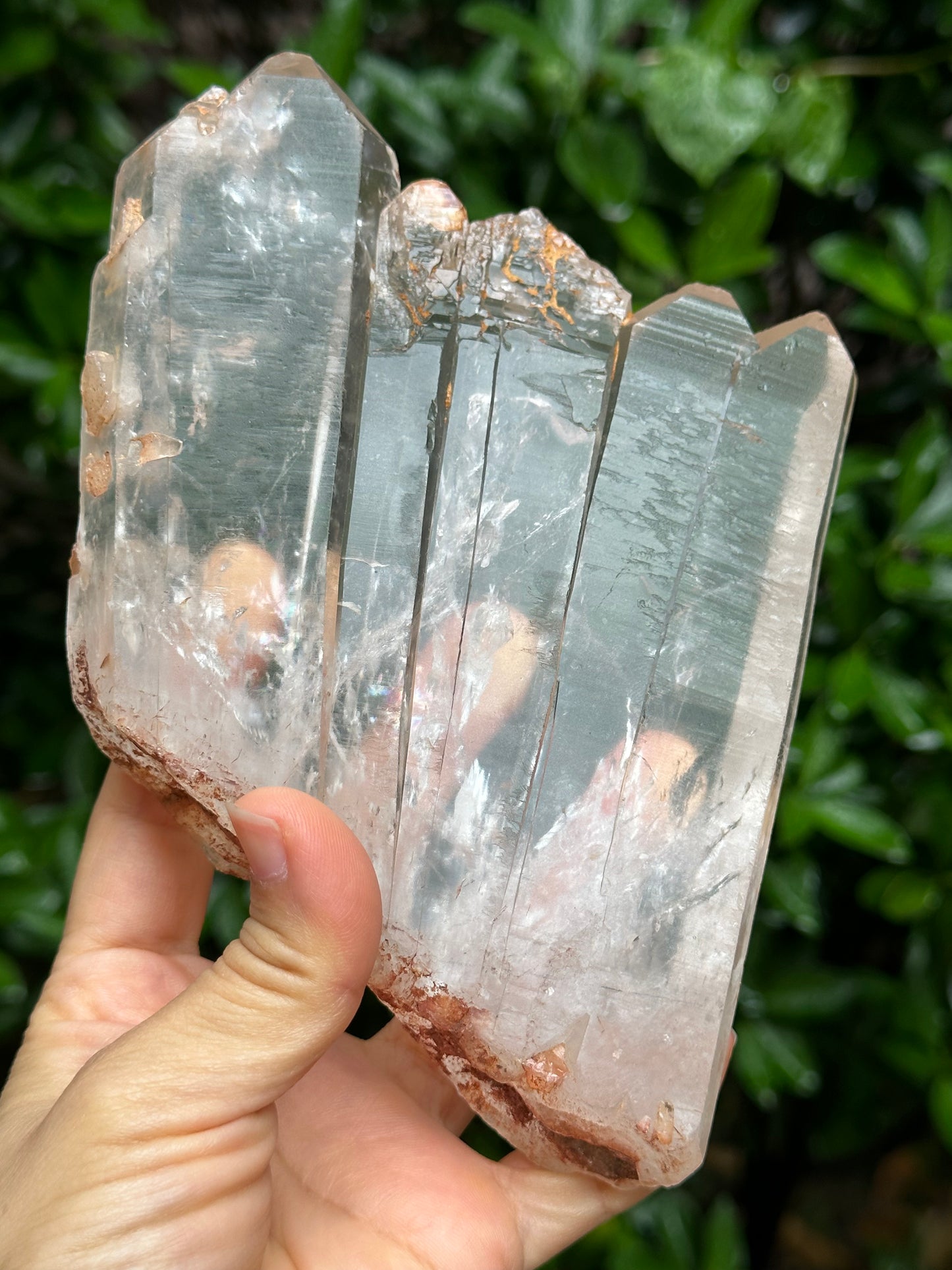 Rare Himalayan Tabular Multiple Quartz Crystals + wooden stand