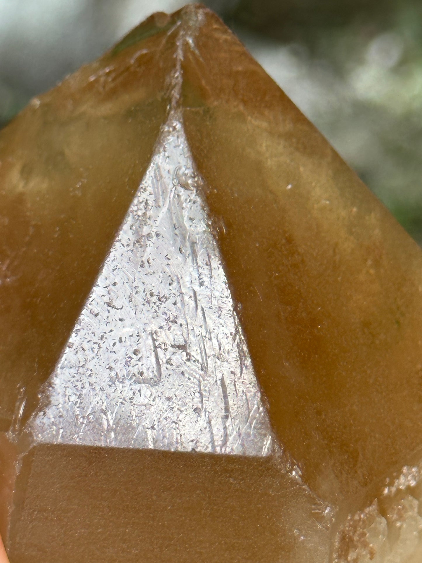 307 g Natural Citrine Record-keeper Quartz Crystal Point