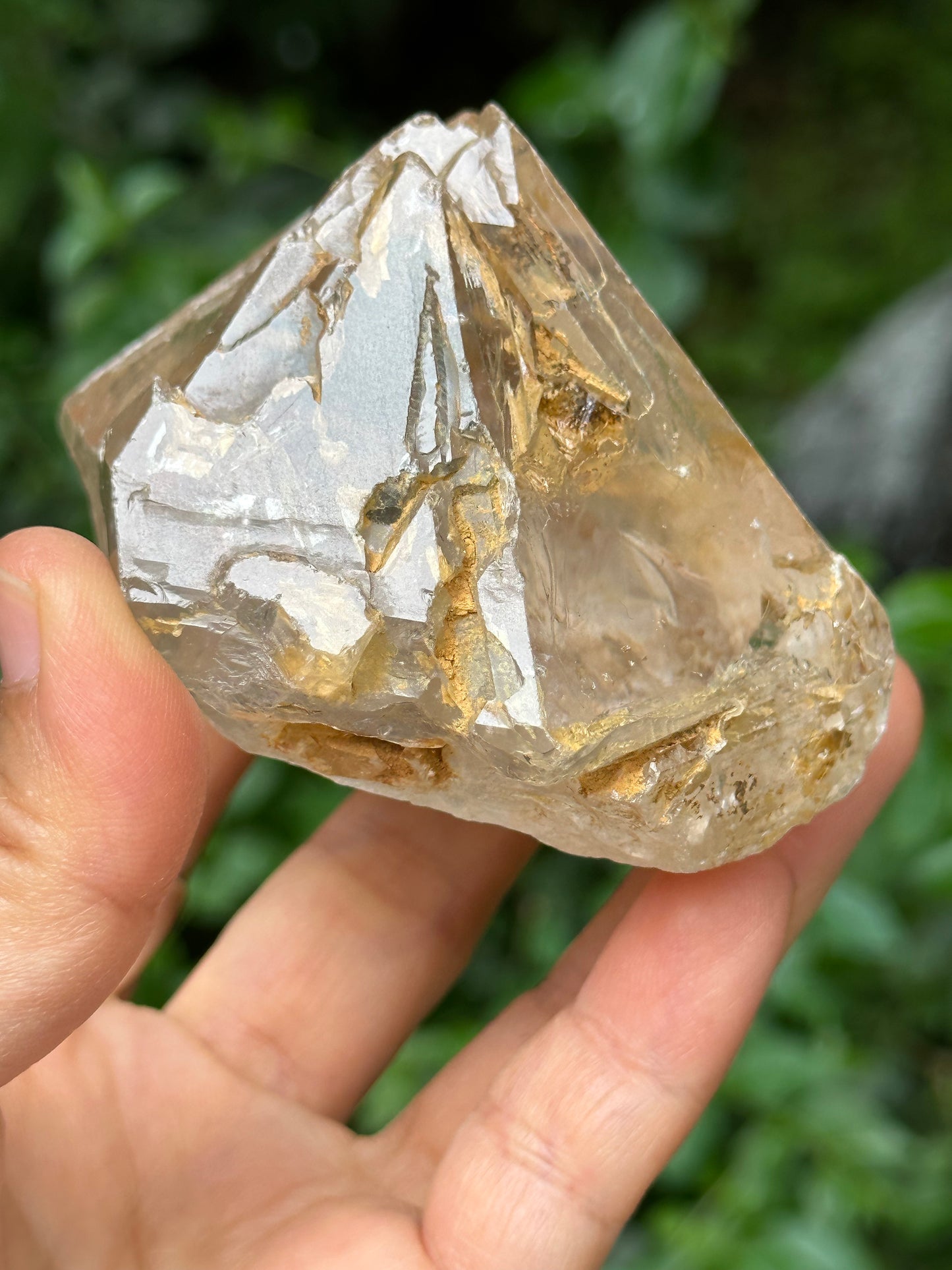 Large Clear Himalayan Skeletal Fenster Quartz with opening windows Crystal Point with golden soil-Himalayas crystal/Energy Quartz-310 g