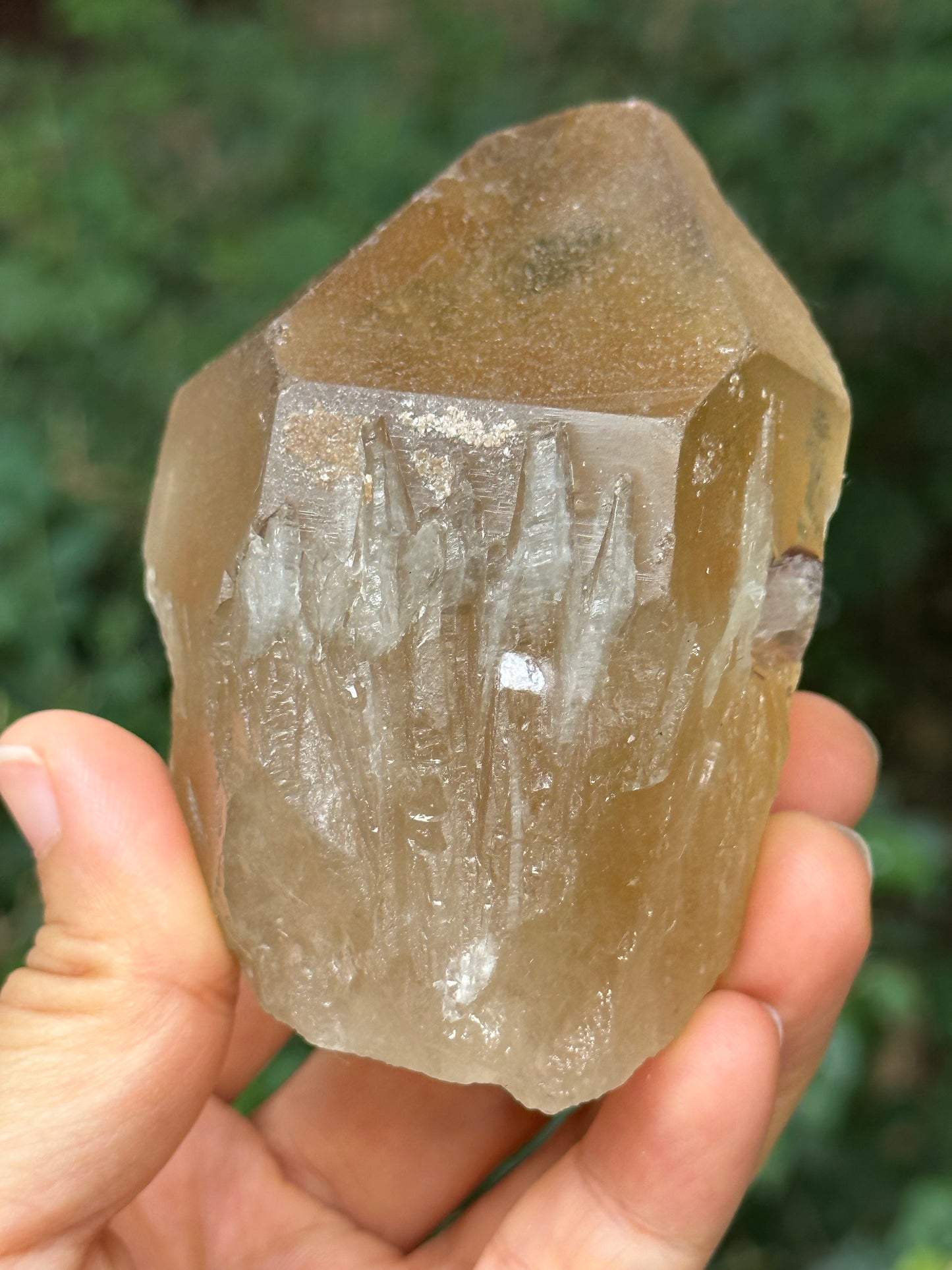 307 g Natural Citrine Record-keeper Quartz Crystal Point