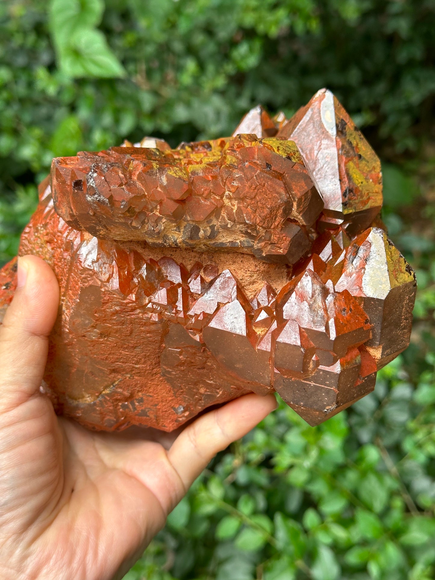 5.1 lbs Rare Tangerine Hematite Crystal Quartz Cluster-Ancient Mineral/Multiple Double Terminated Castle Quartz Elestial Crystal/Display Specimen