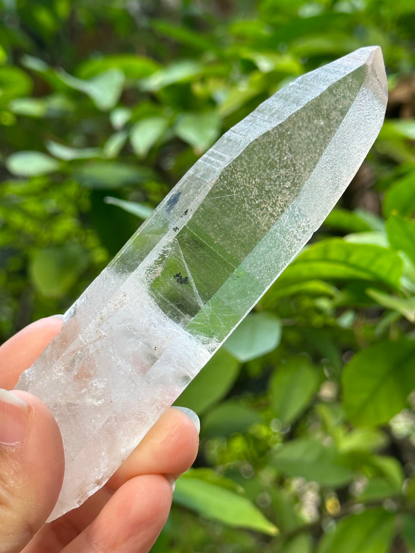 Rare Perfect Clear Record-keeper Lemurian Seed Quartz Crystal With Green Phantom &amp; Silver Rutile Included