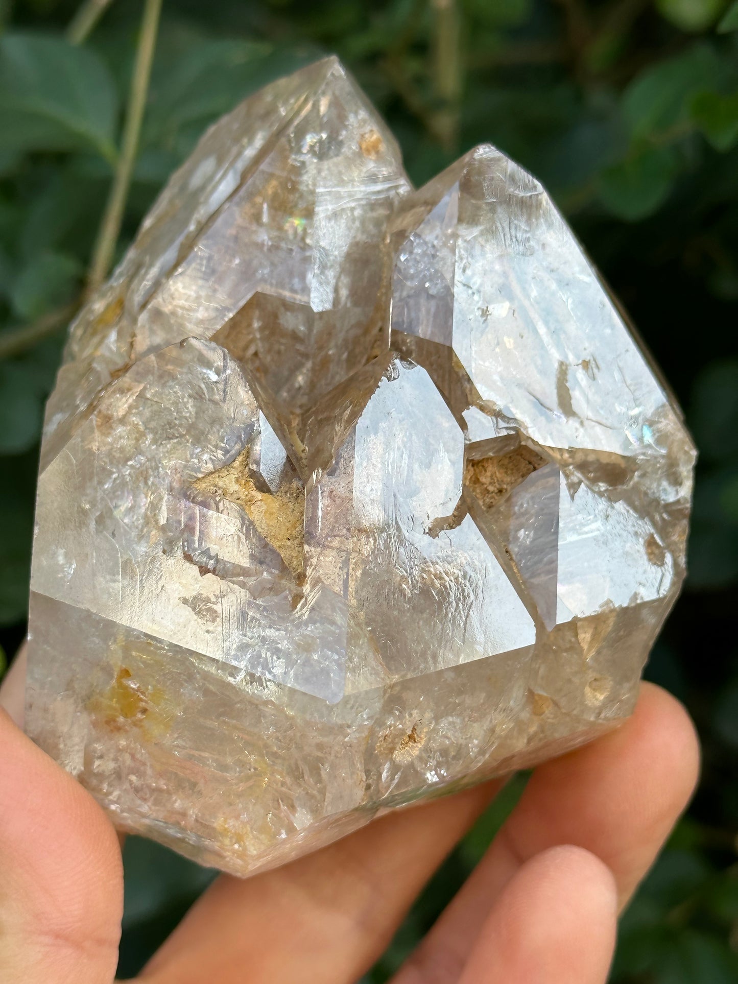 307 g Clear Himalayan Record-keeper Skeletal Quartz Fenster Crystal Cluster