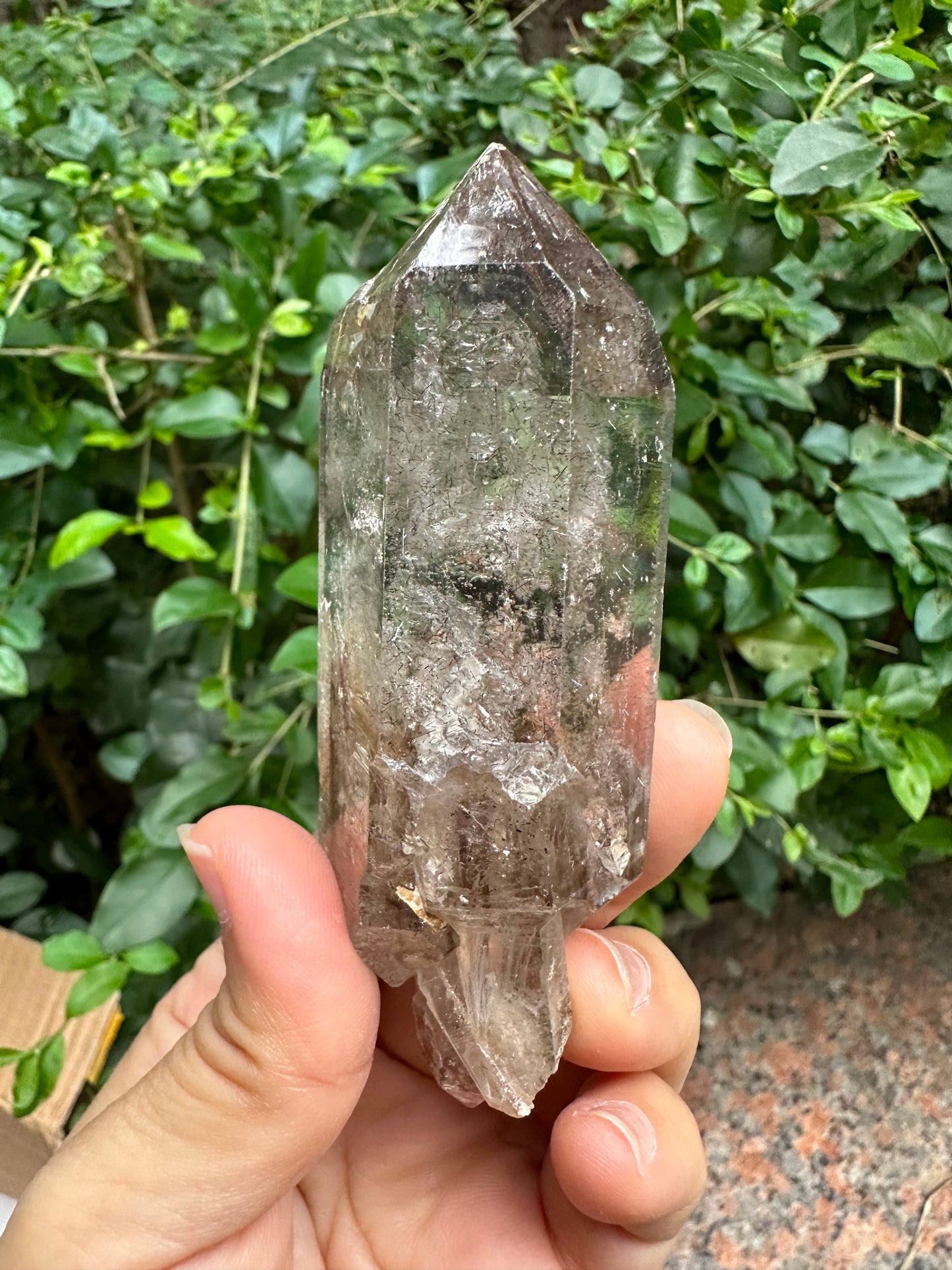 141g Super 7 Skeleton Scepter Amethyst Quartz Crystal Point from Madagascar Super Glass Surface