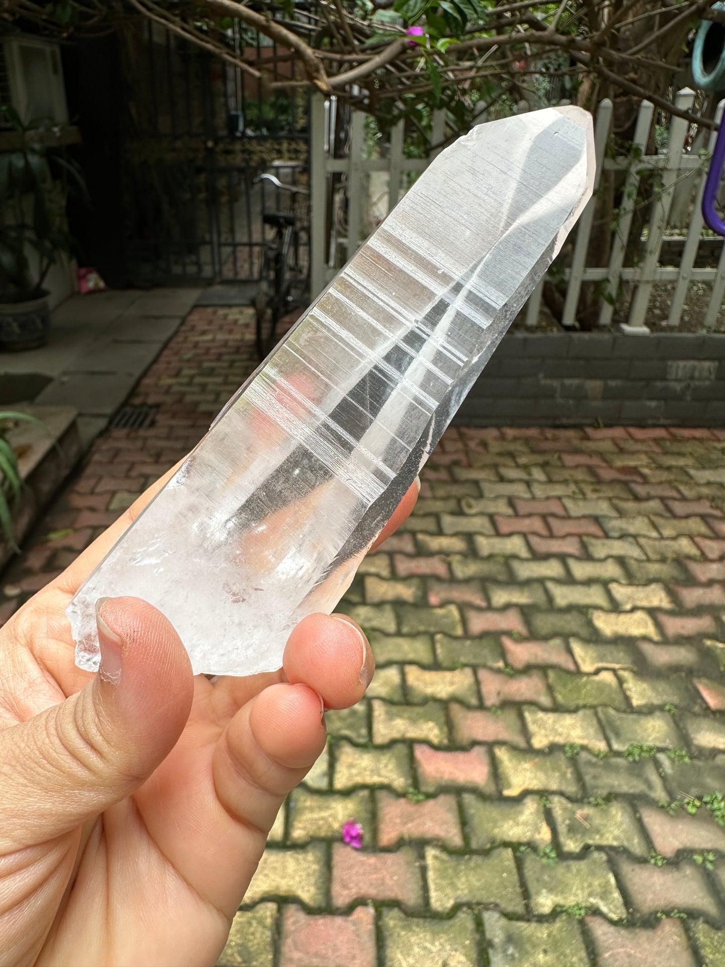 Columbia Muzo Habit Quartz Crystal Point/Laser Quartz/Lemurian Seed Quartz Crystal