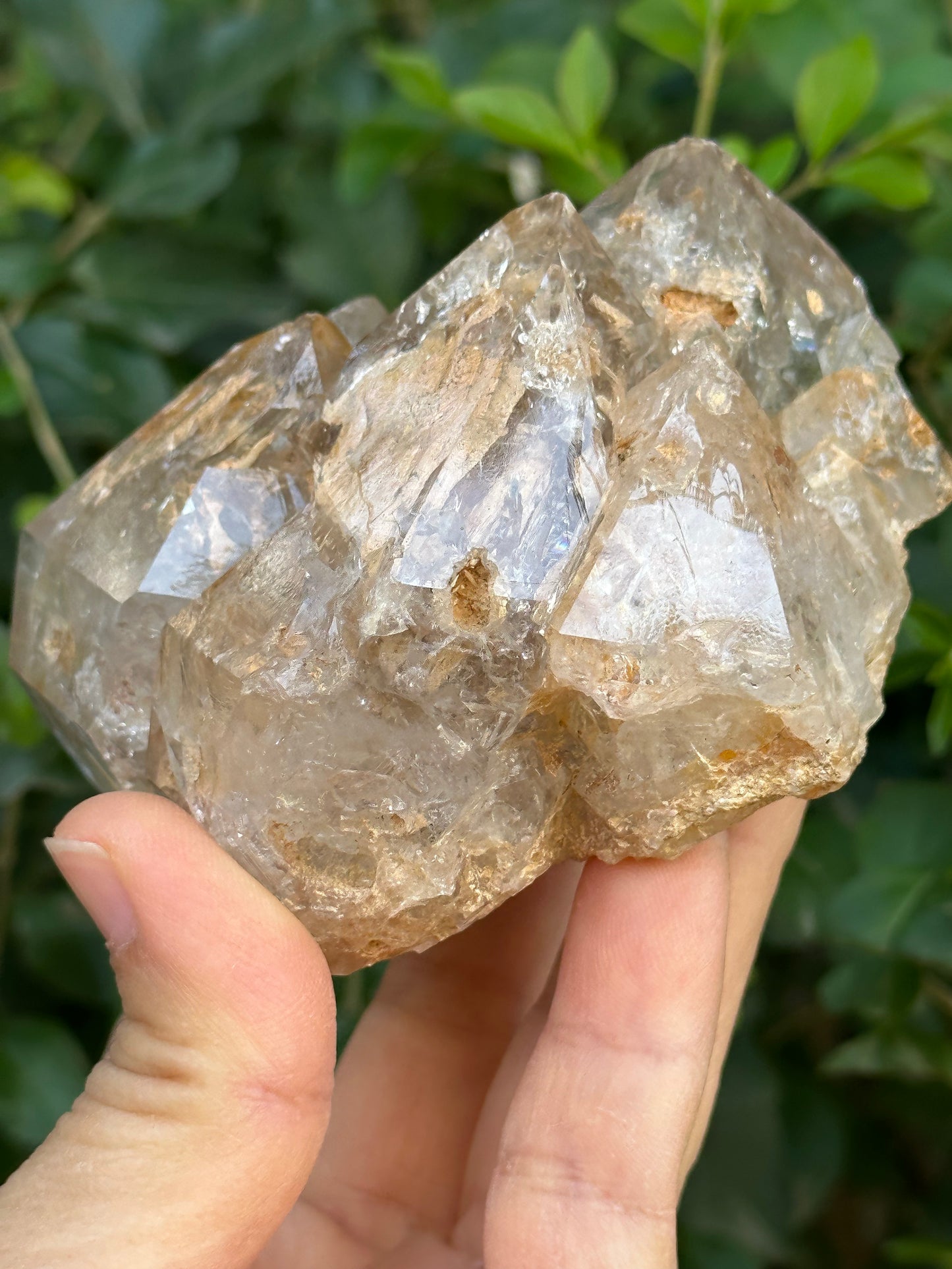 307 g Clear Himalayan Record-keeper Skeletal Quartz Fenster Crystal Cluster