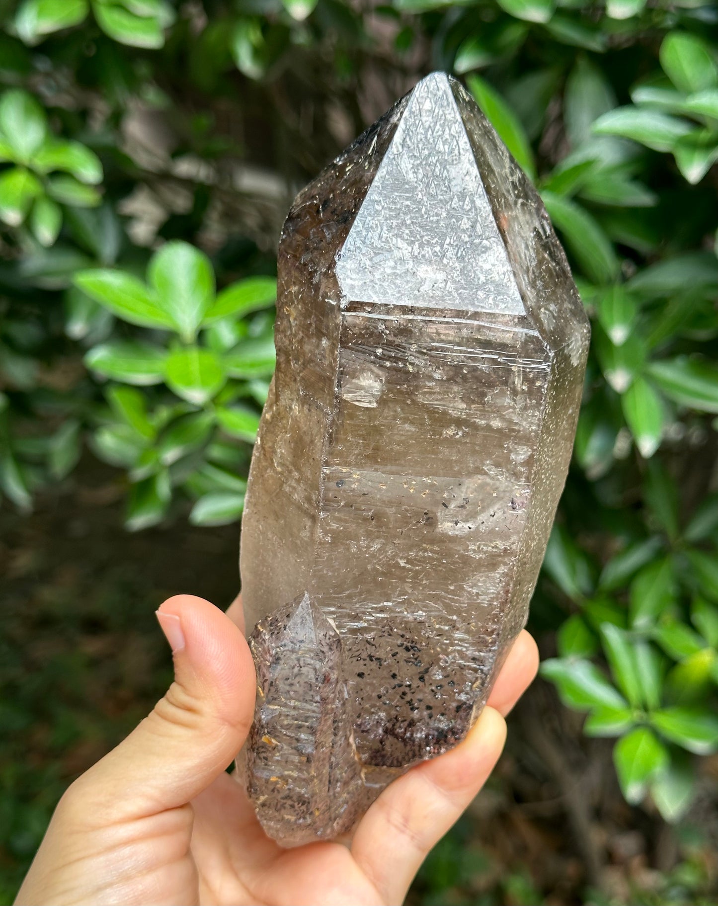 759 g Rare Record-keeper Strawberry Quartz Crystal Point