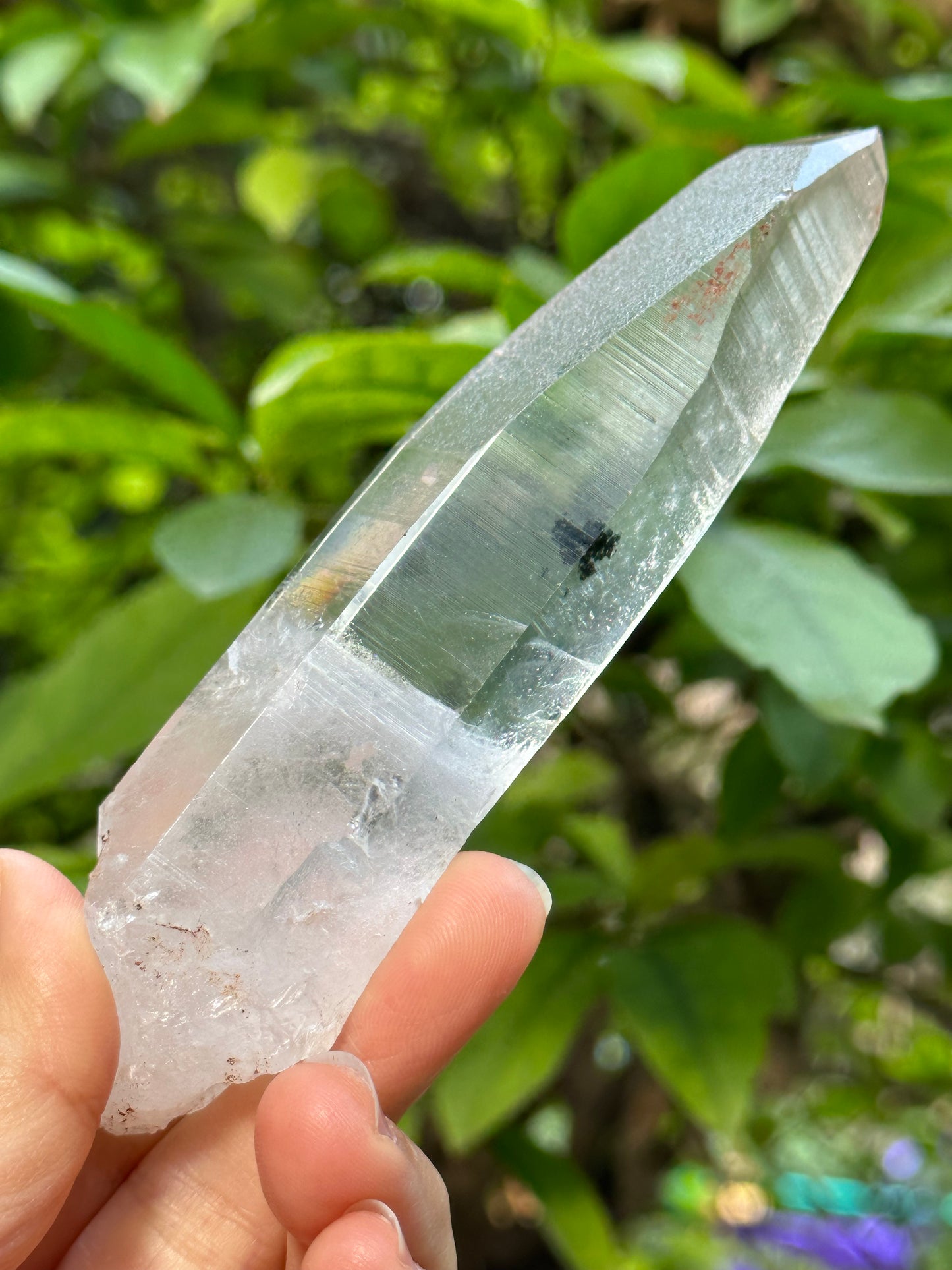 Rare Perfect Clear Record-keeper Lemurian Seed Quartz Crystal With Green Phantom &amp; Silver Rutile Included