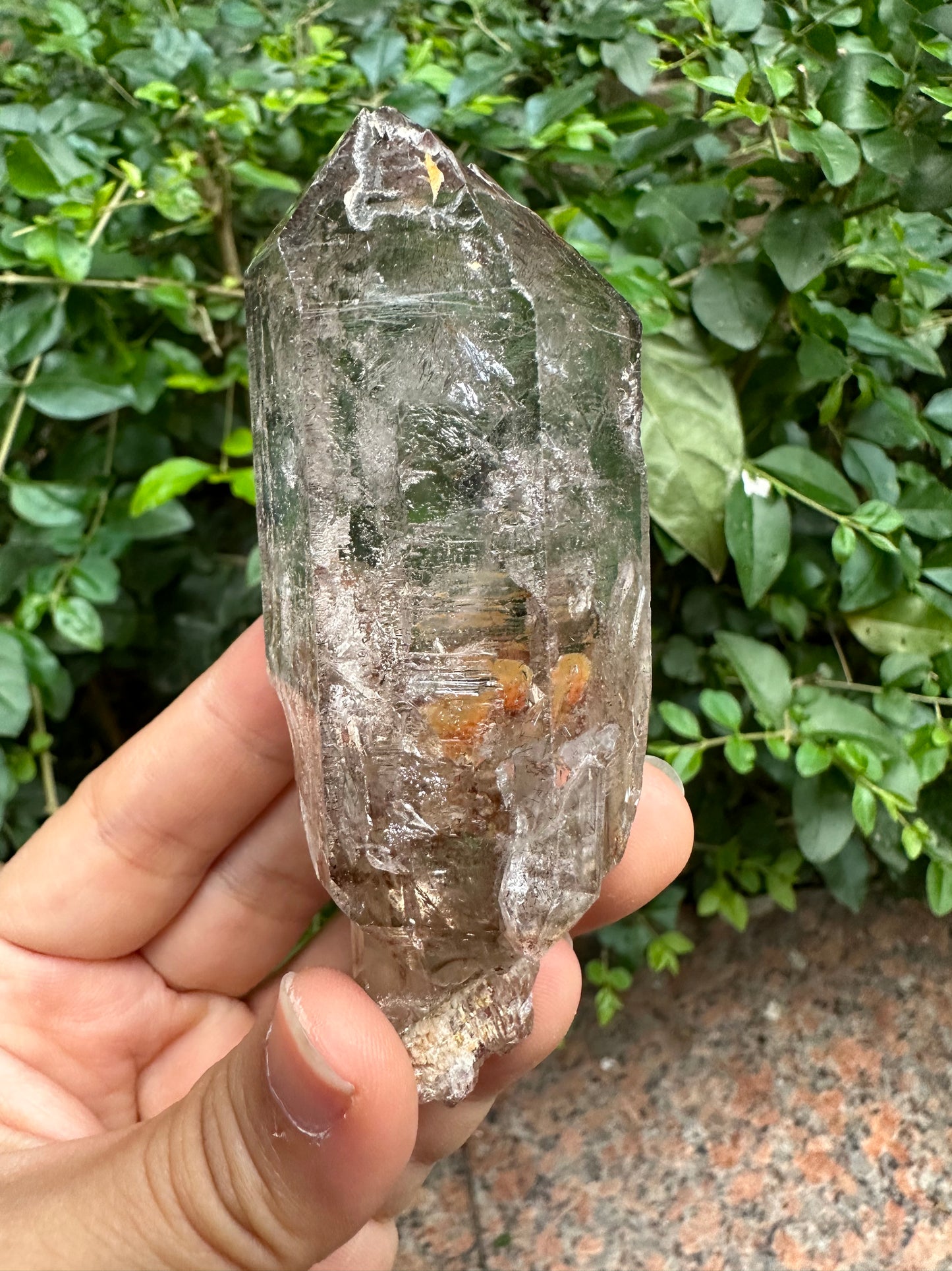 141g Super 7 Skeleton Scepter Amethyst Quartz Crystal Point from Madagascar Super Glass Surface